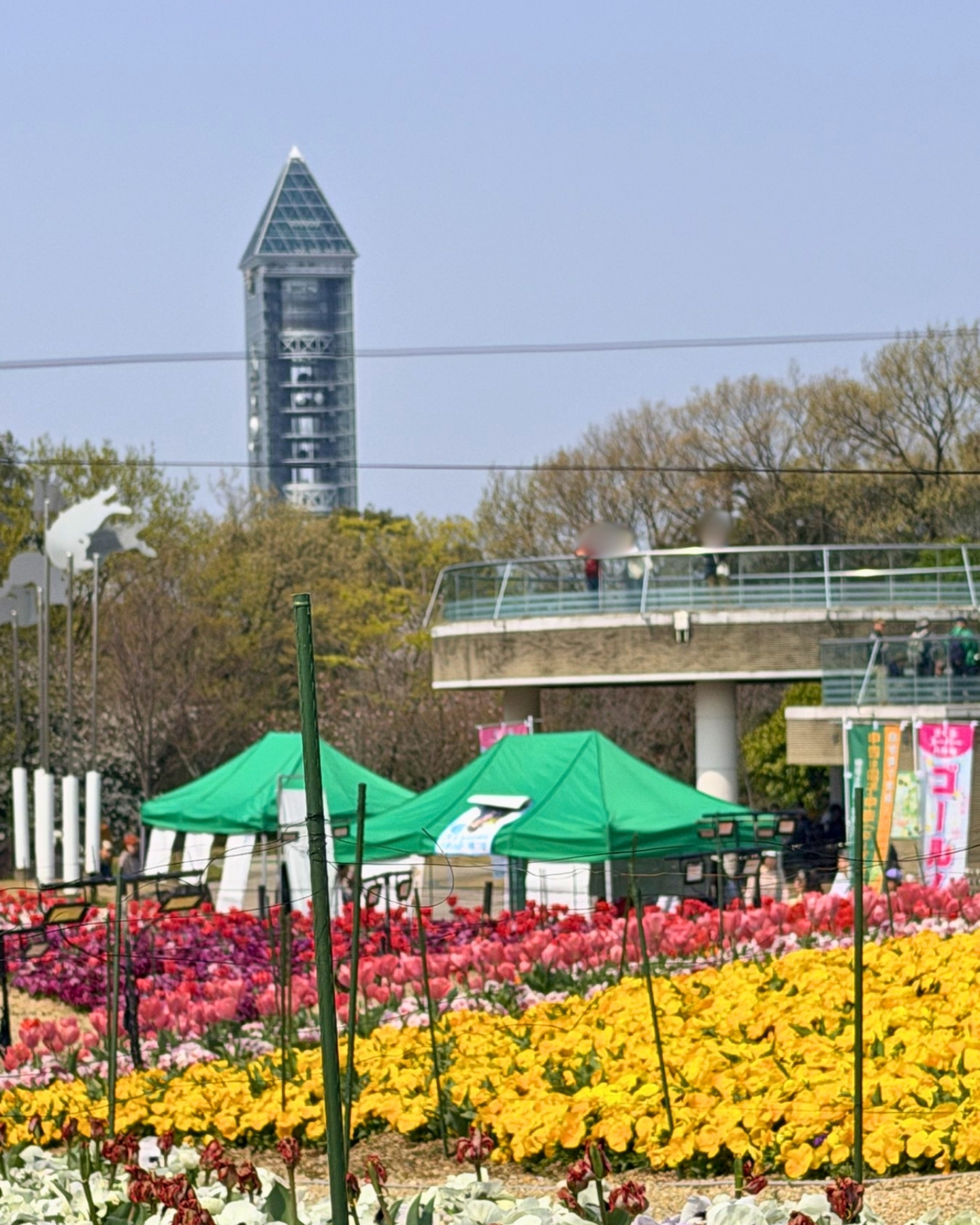東山動植物園 賑わうお花畑