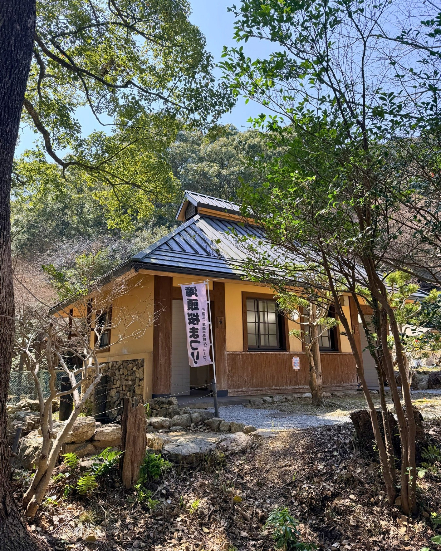 芝生の広がるキャンプ場
