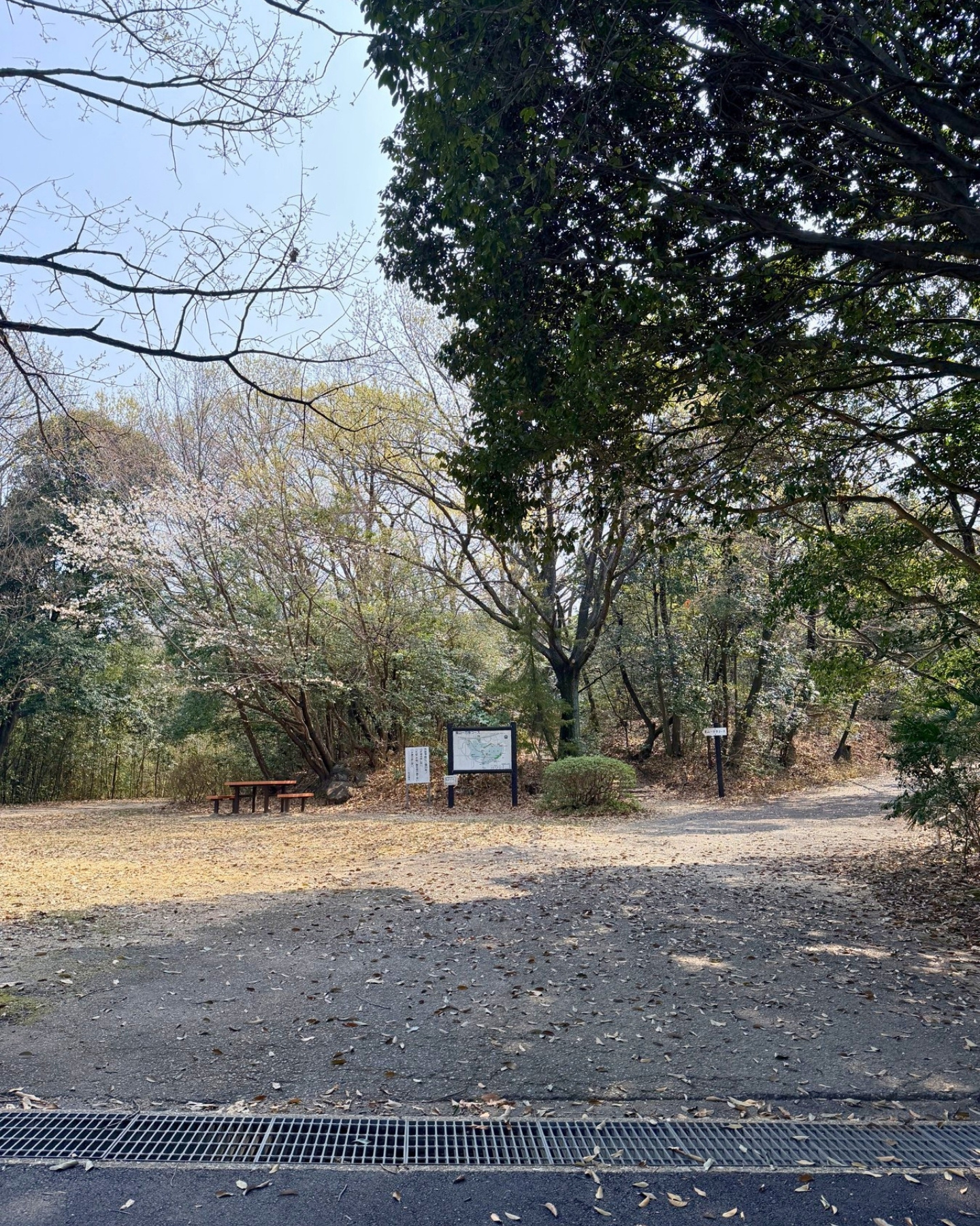 東山動植物園 開けた散策路