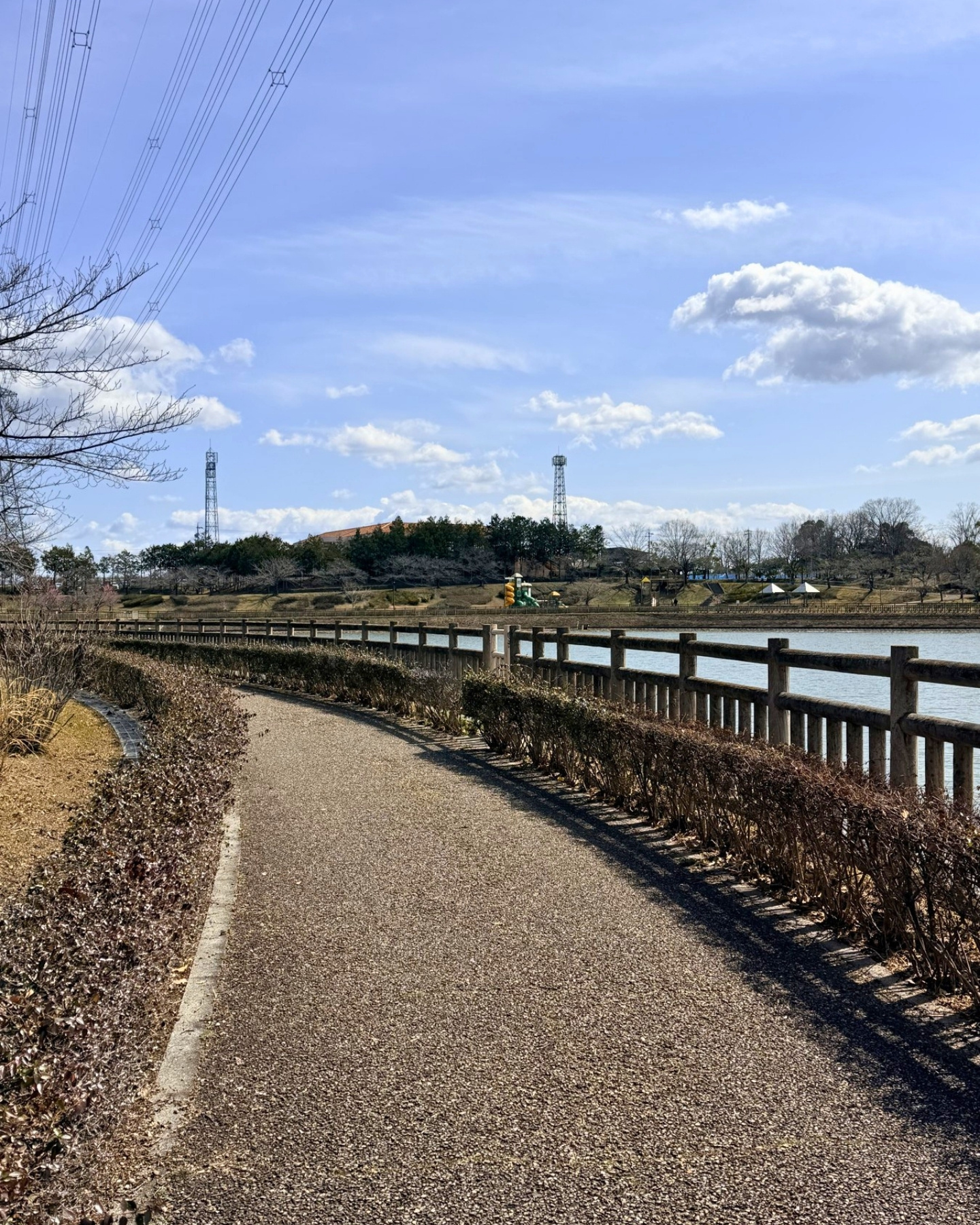 細口公園 細口池を囲む散策コース