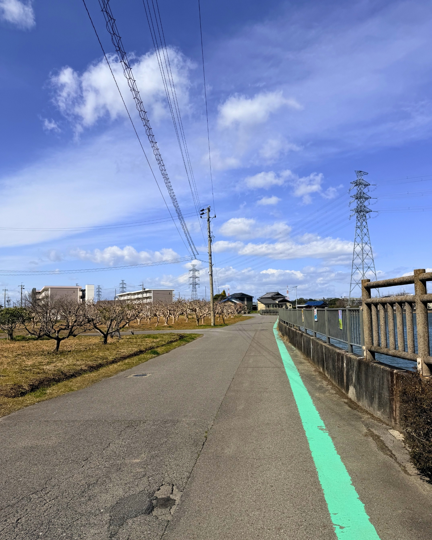 細口公園 駐車場・トイレ・利用上の注意事項