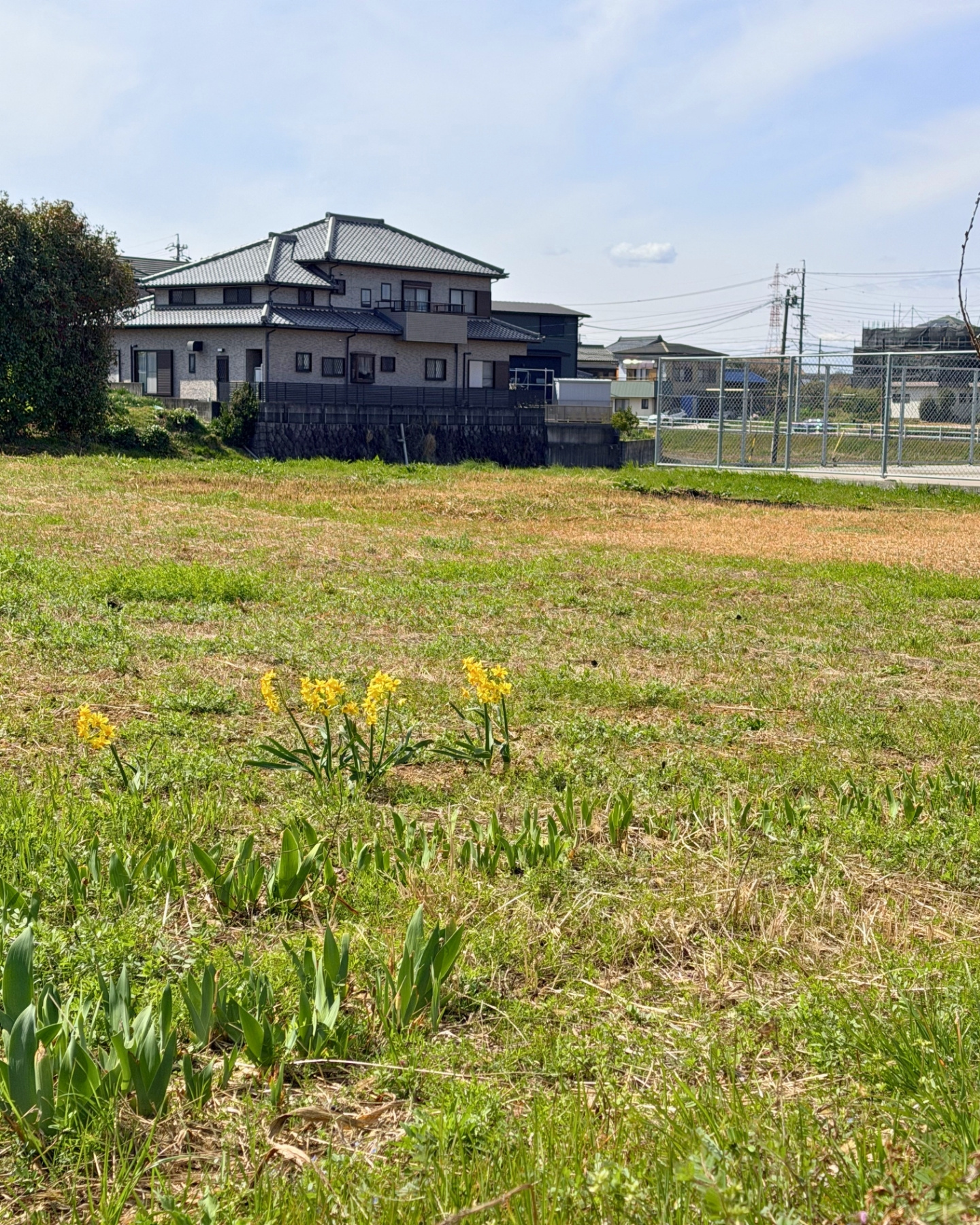 細口公園 池の周囲から寄り道して