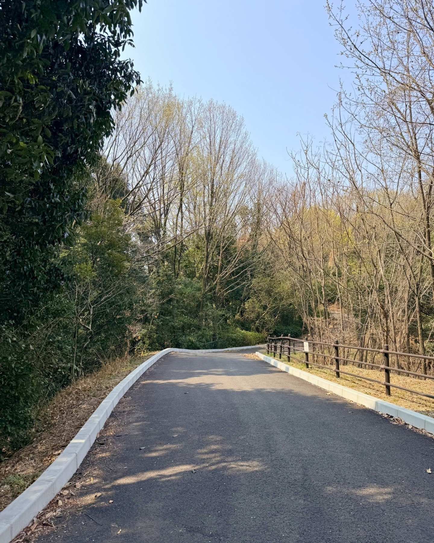 東山動植物園 一万歩コースの散策路