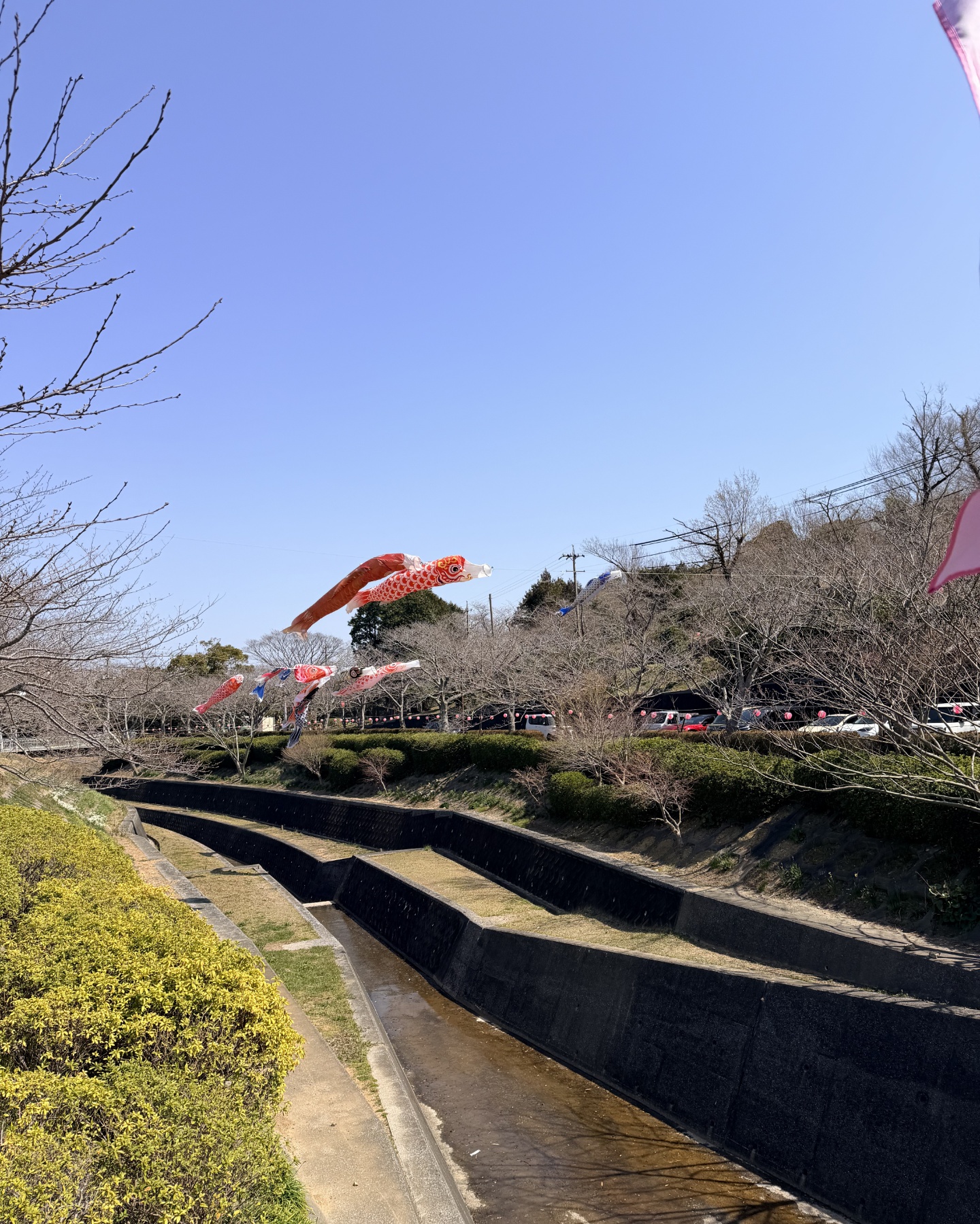 広々とした芝生広場