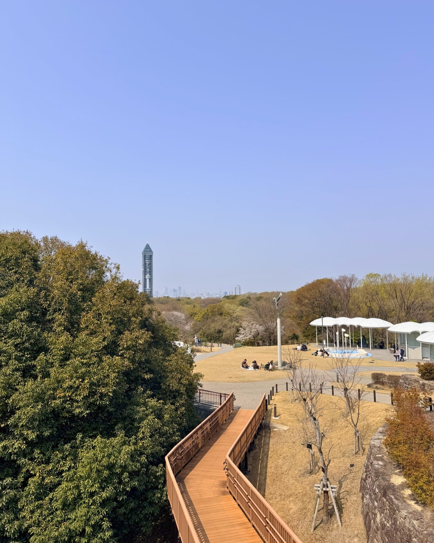 東山動植物園 芝生広場