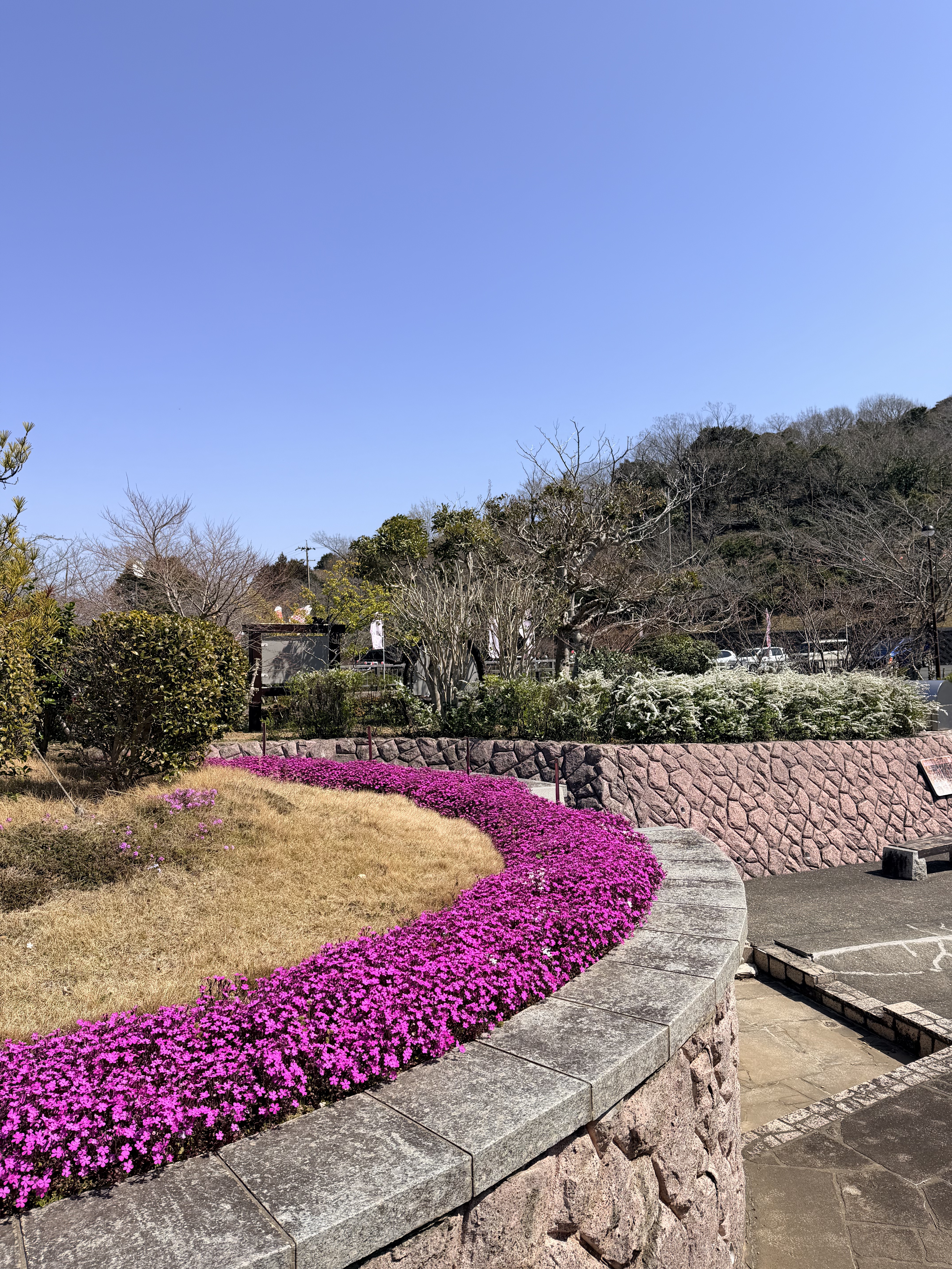 円形の花壇