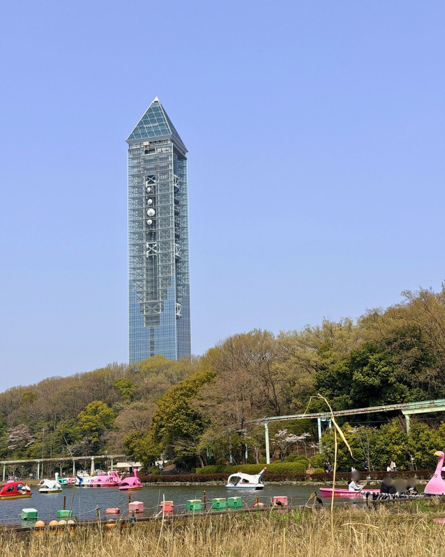 東山動植物園 カラフルなスワンボート