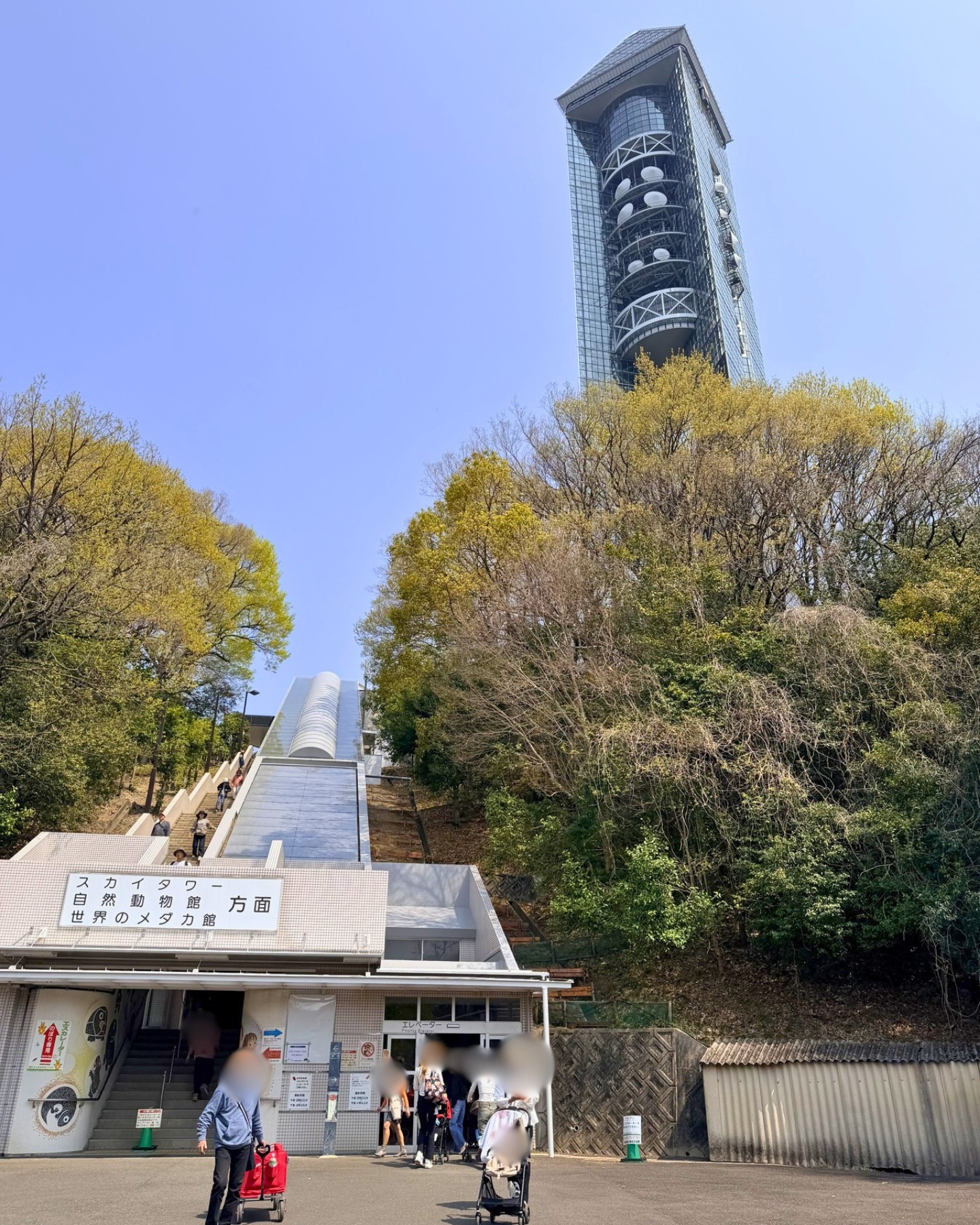 東山動植物園 スカイタワーとエスカレーター