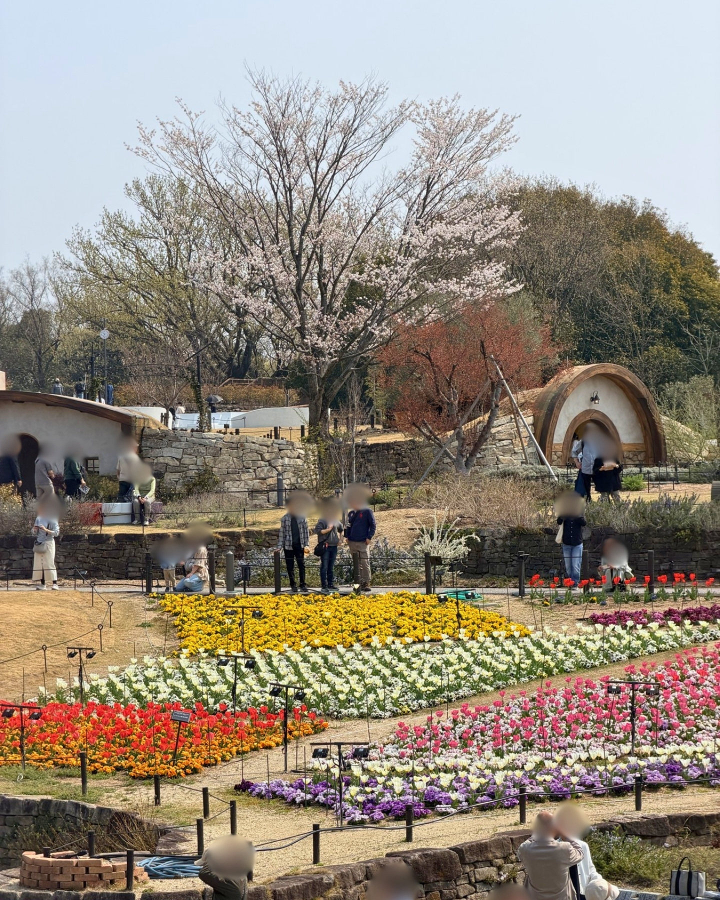 東山動植物園 お花畑の大花壇