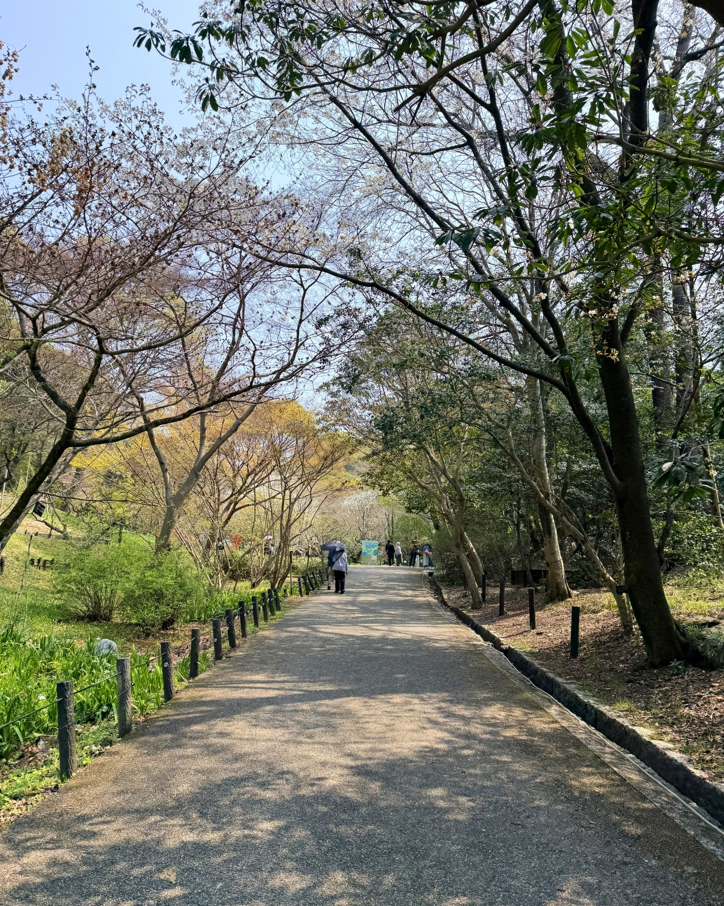 東山動植物園 園路の植物と和歌の札