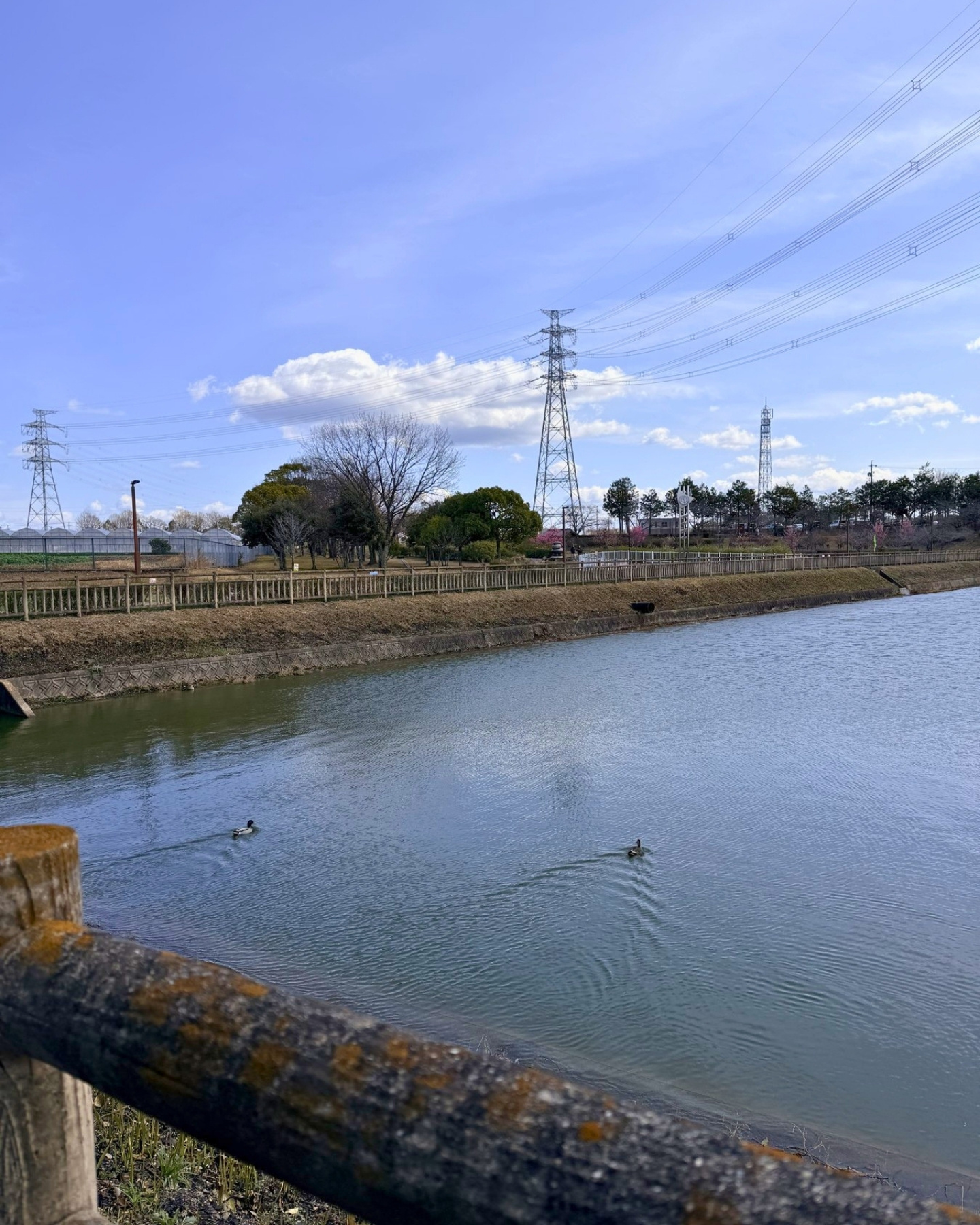 細口公園 細口池を一周散策 車道区間に注意