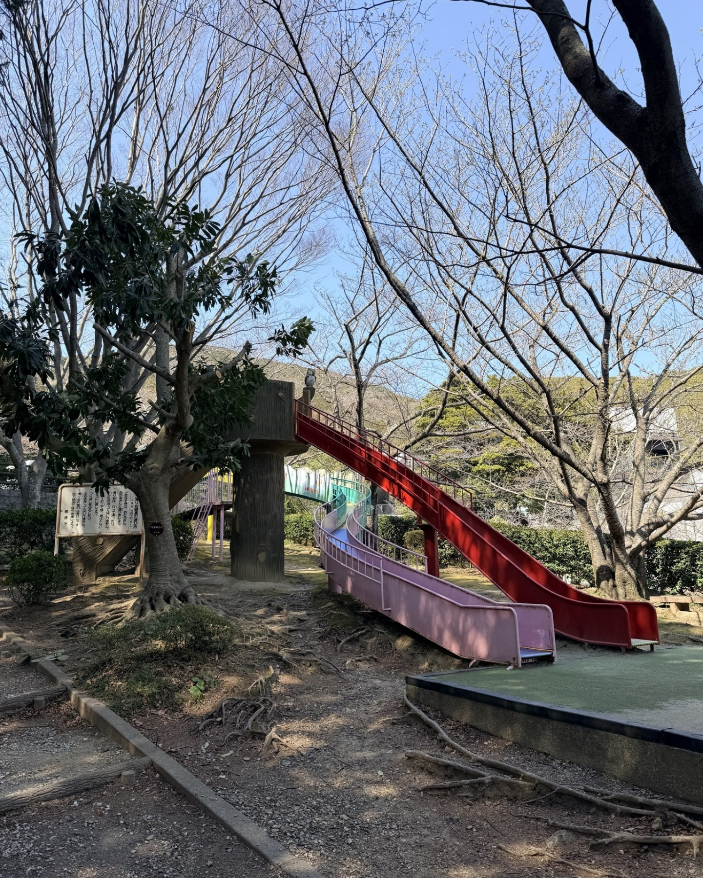 木立に囲まれた休憩所