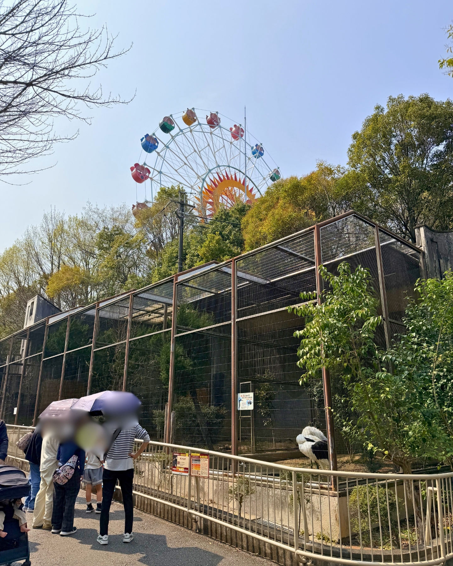 東山動植物園 アメリカバイソン