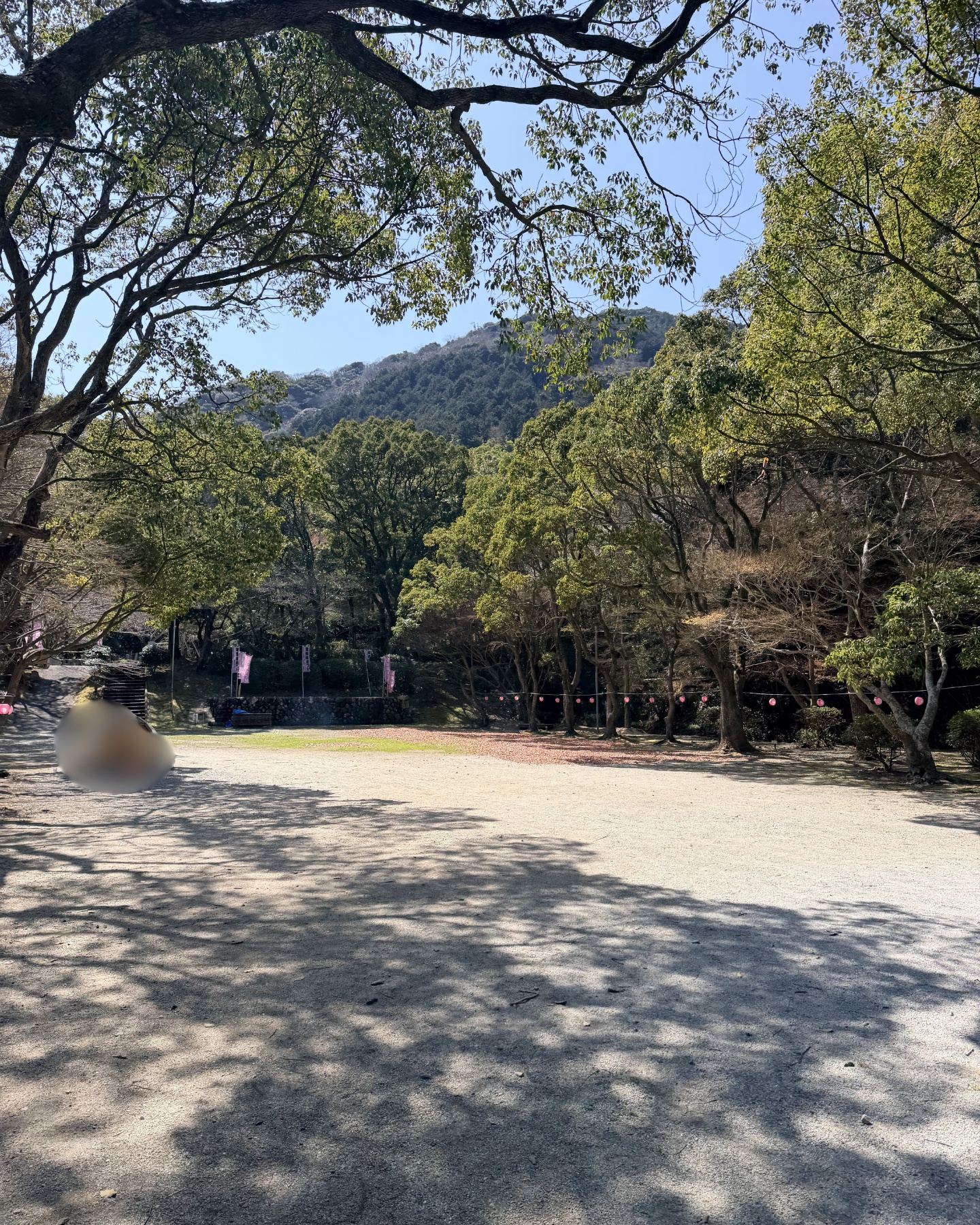 青空の下のキャンプ場施設