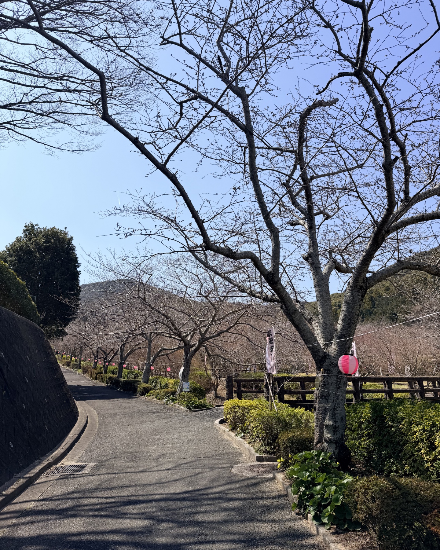 ツーリングで到着した滝頭公園