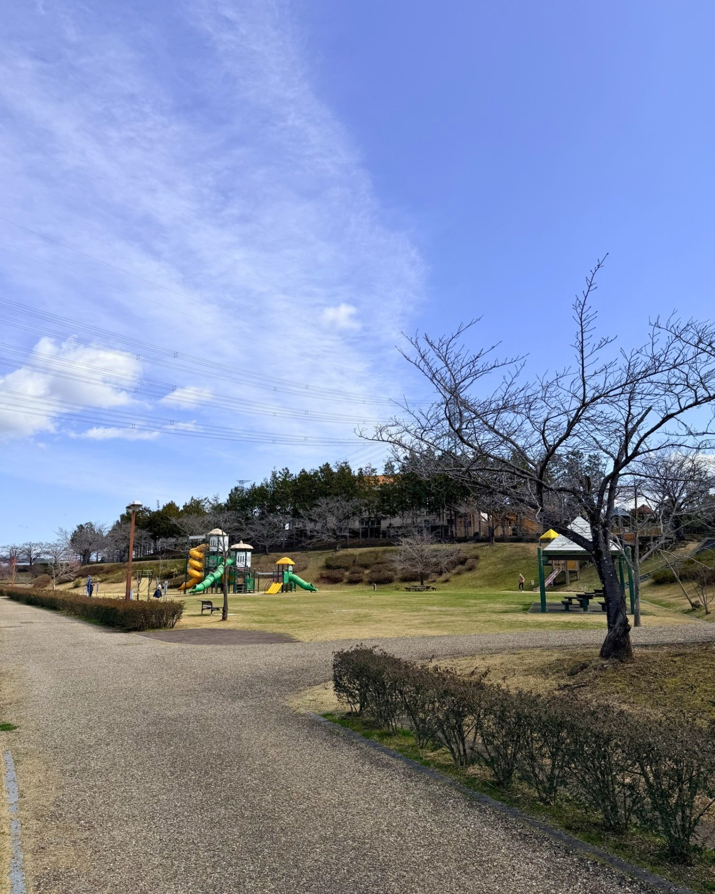 細口公園 芝生広場と遊具で休憩