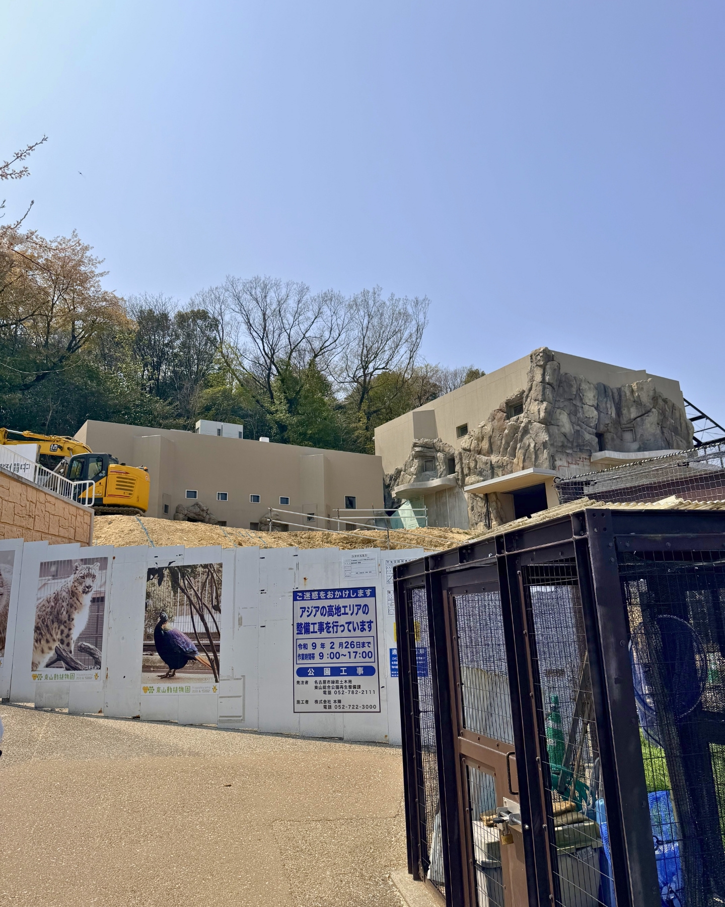 東山動植物園 くつろぐペリカン