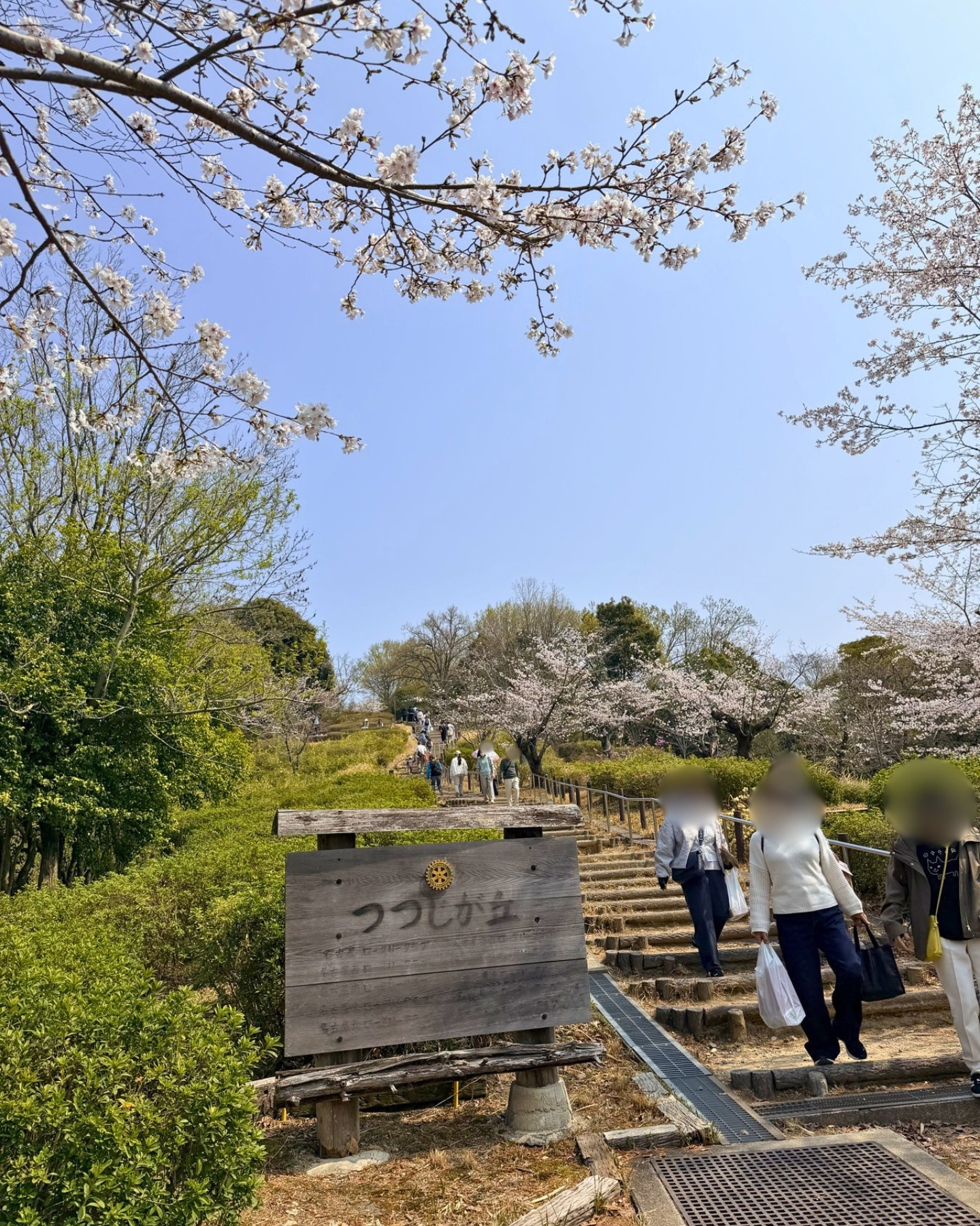 東山動植物園 動物園へ下る階段