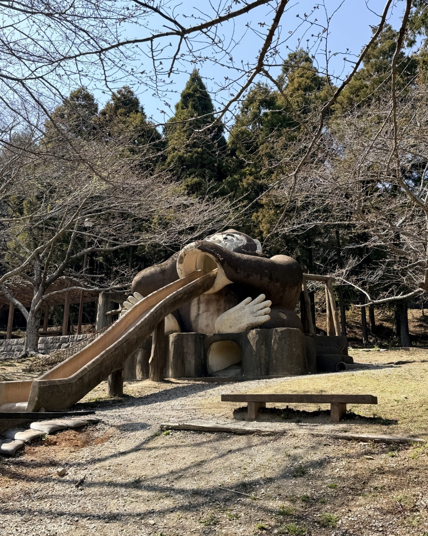 木々に囲まれた広場