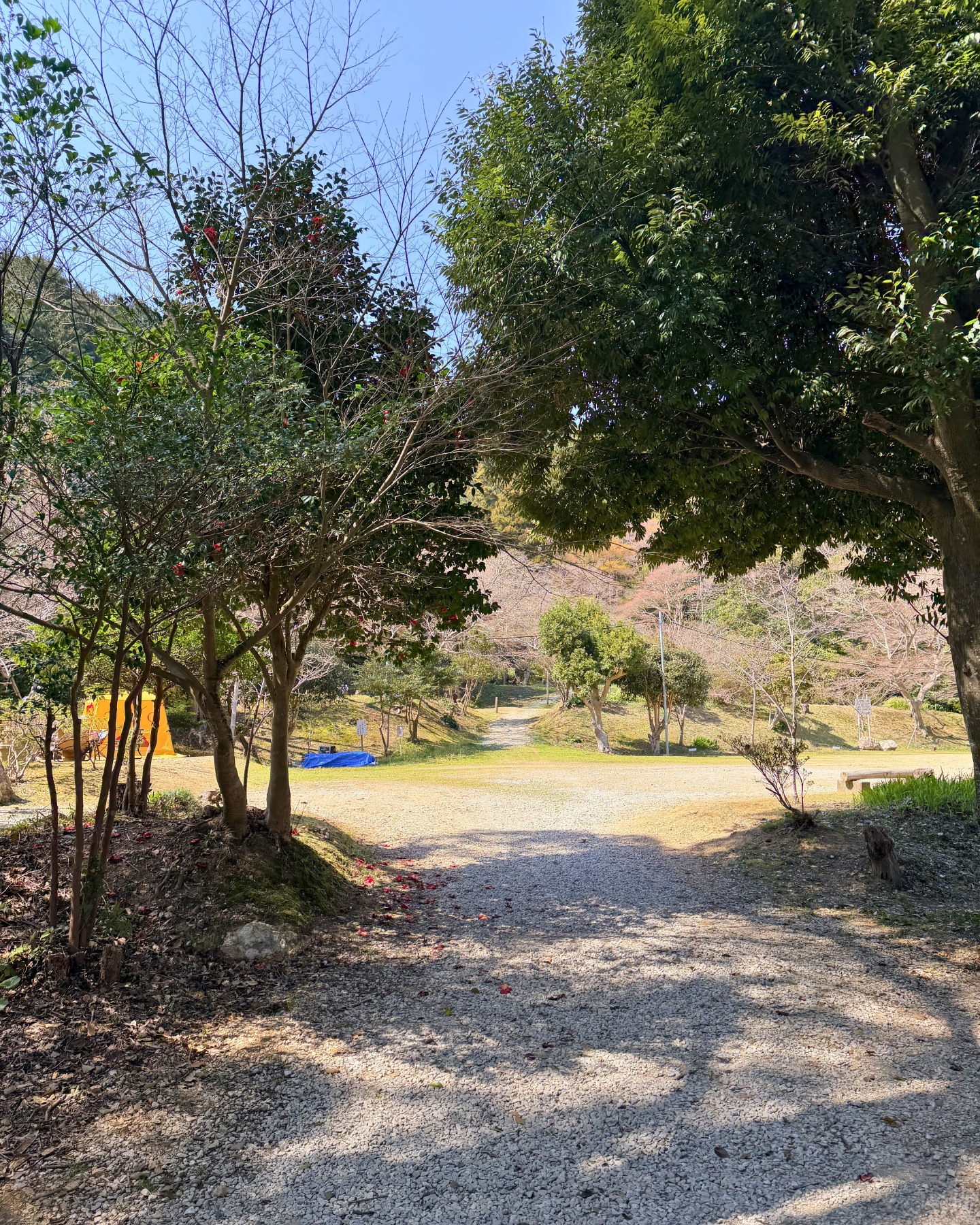 池畔の東屋