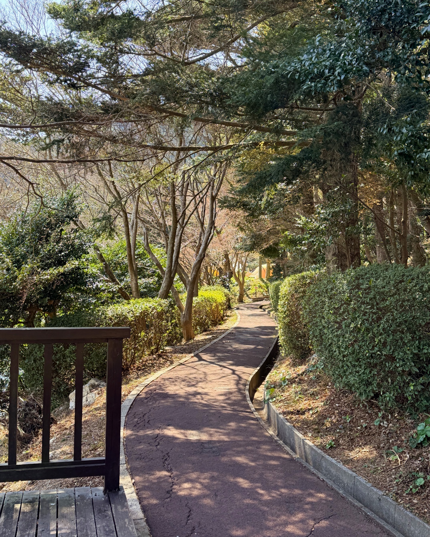 滝頭公園の池のパノラマ