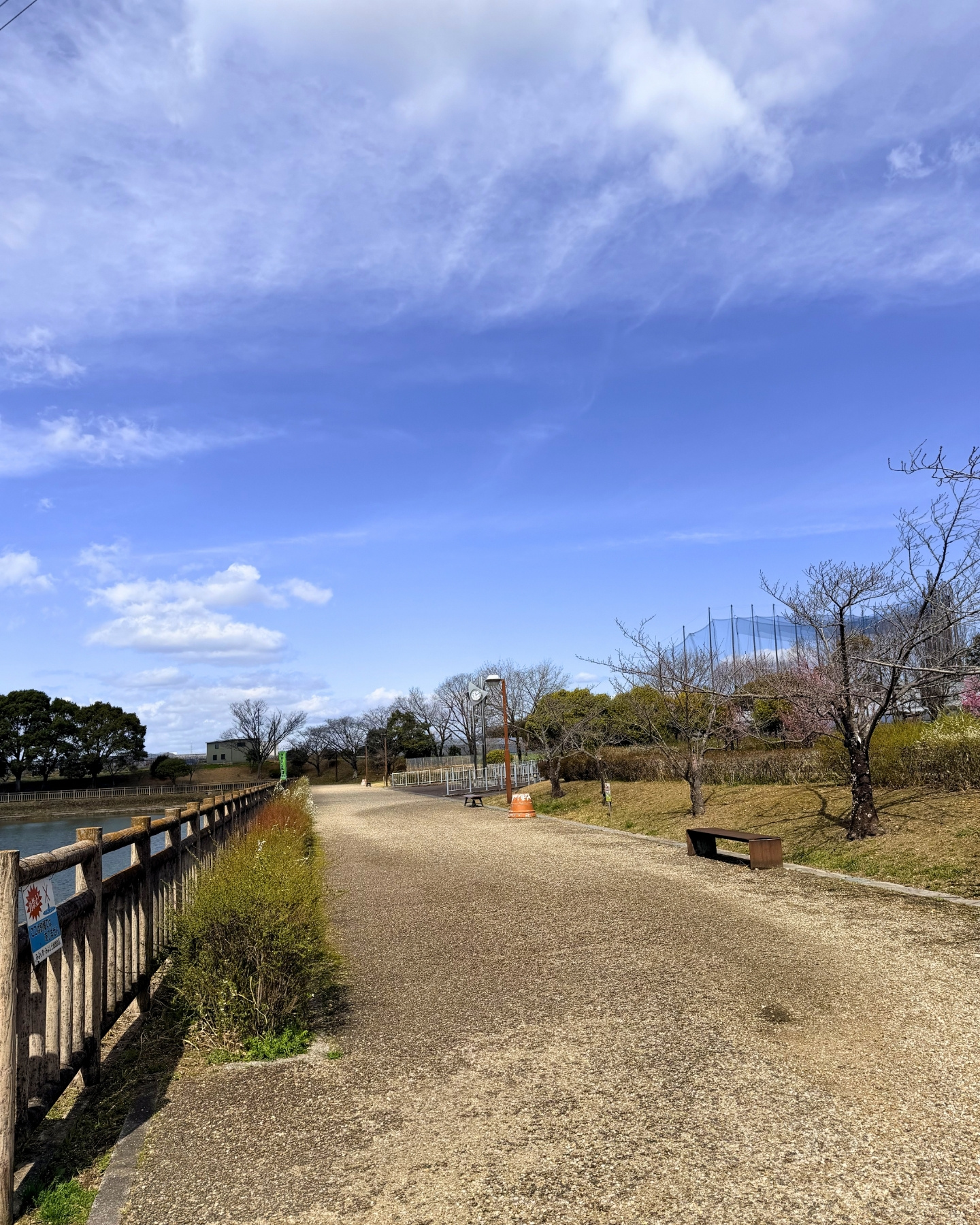 細口公園 細口池を囲む散策コース