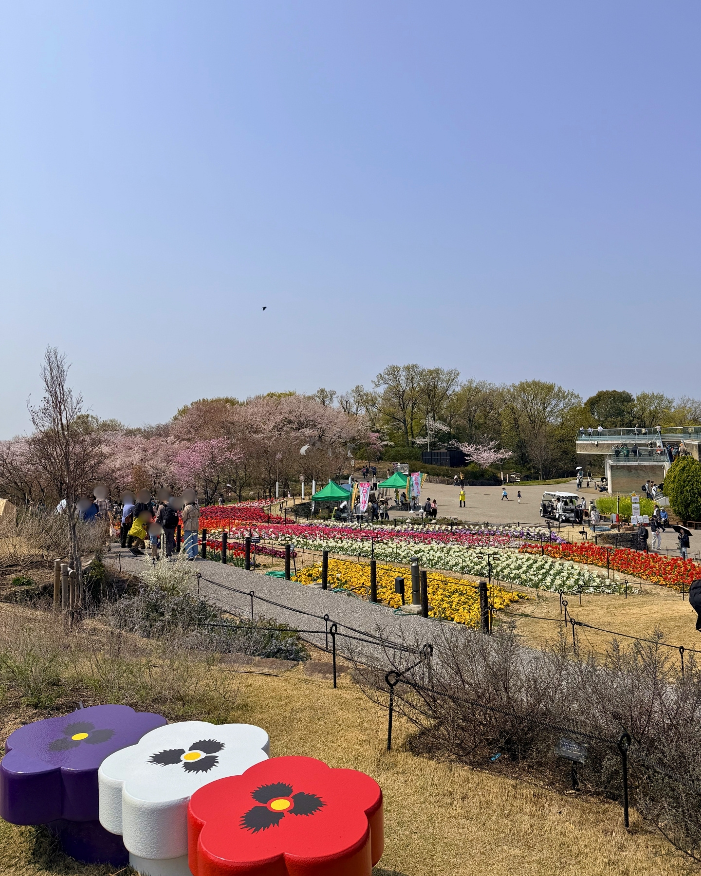 東山動植物園 丘の上のお花畑