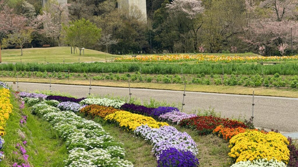 鞍ヶ池公園/愛知県豊田市