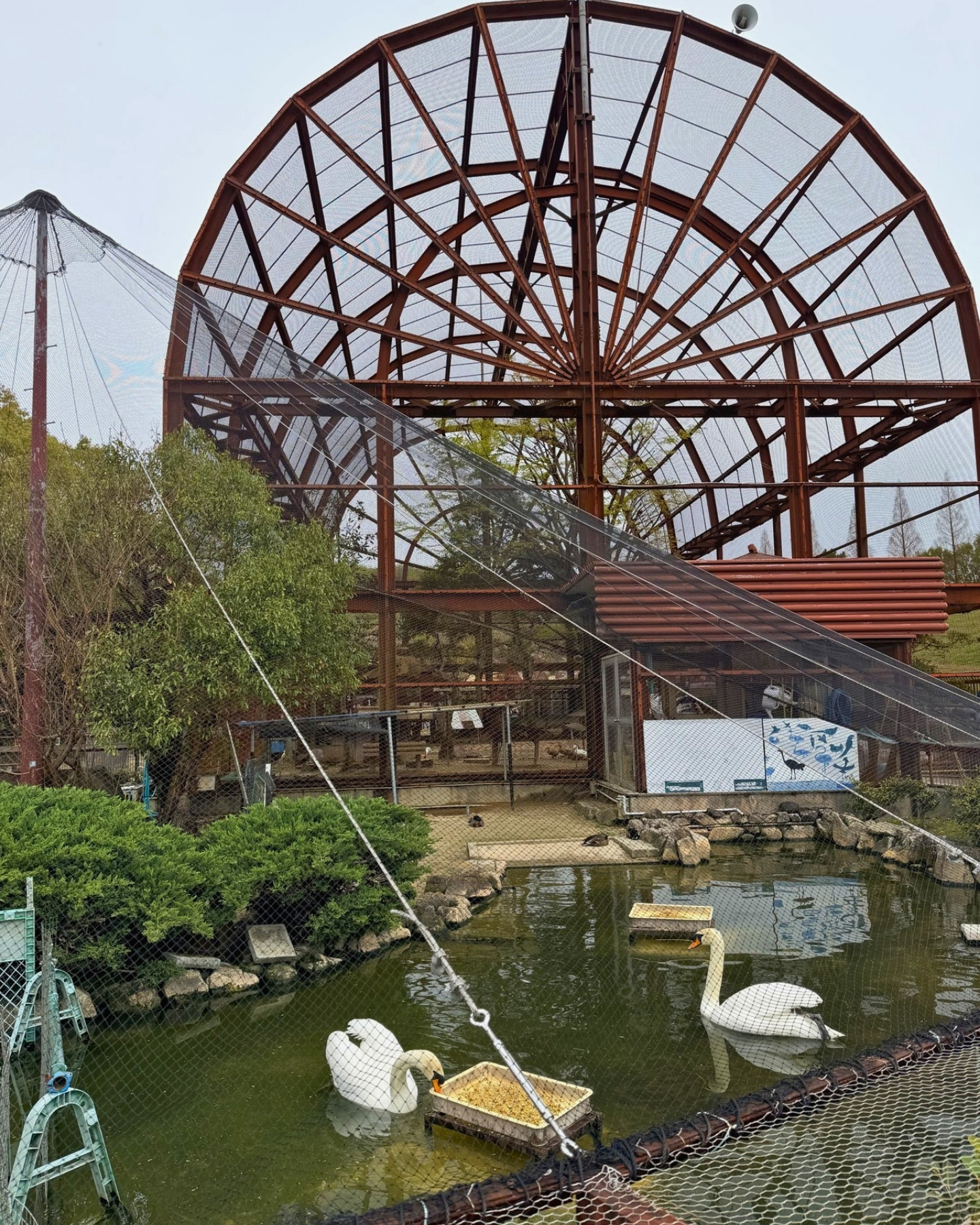 鞍ヶ池公園の無料動物園の鳥エリア