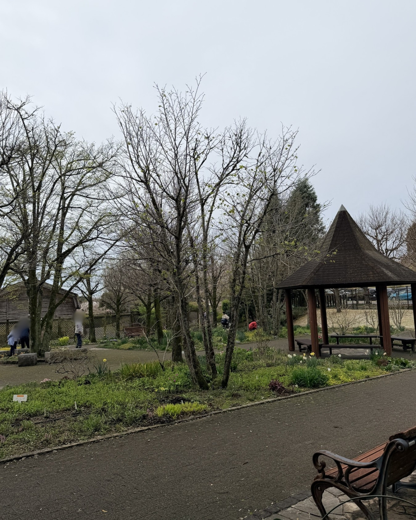 鞍ヶ池公園の英国庭園の草花