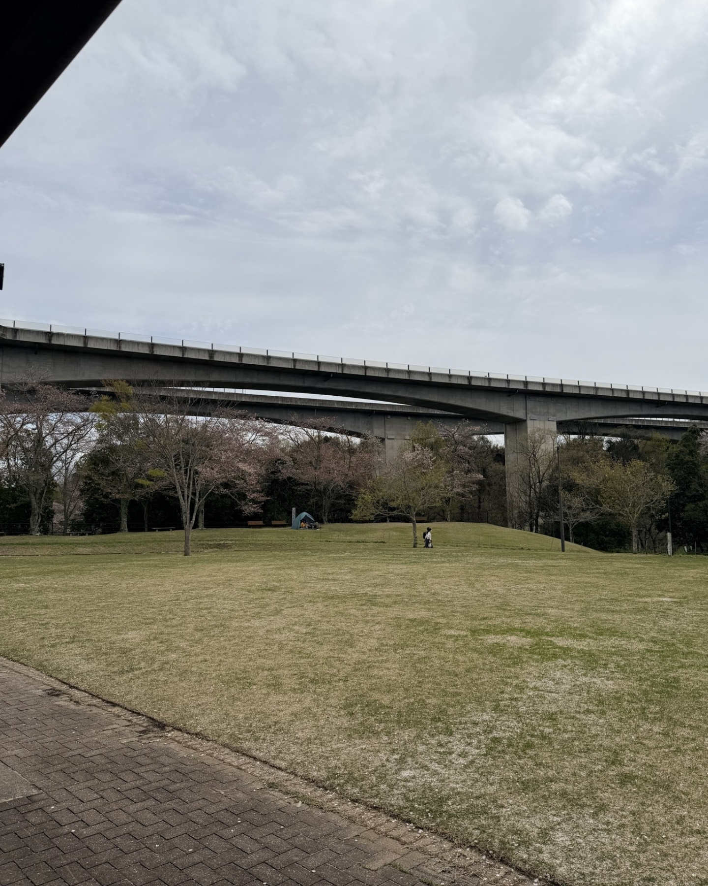 鞍ヶ池公園の四季の古里の桜と花畑