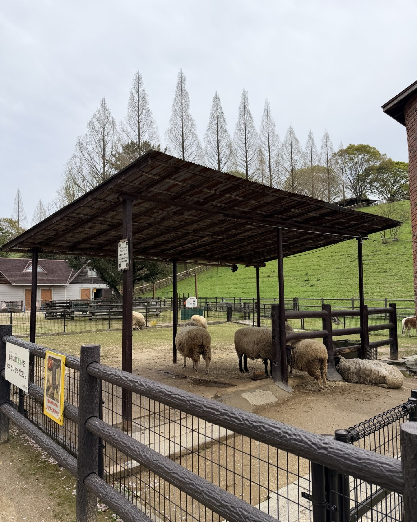 鞍ヶ池公園の観光牧場でのんびり過ごす動物