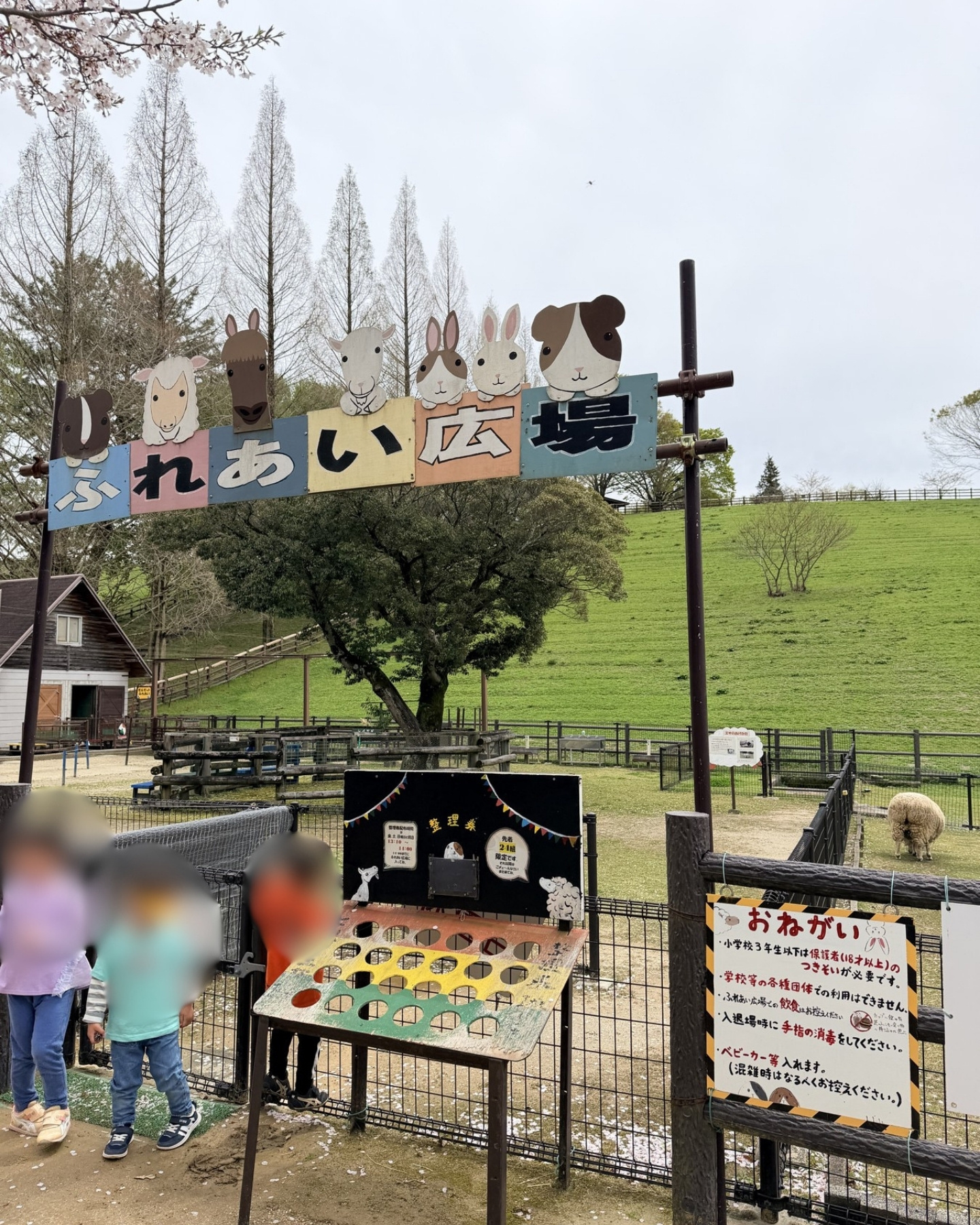 鞍ヶ池公園の観光牧場の様子
