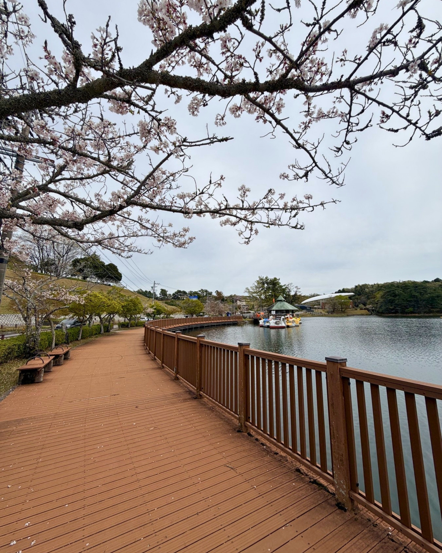 鞍ヶ池公園のウッドデッキ