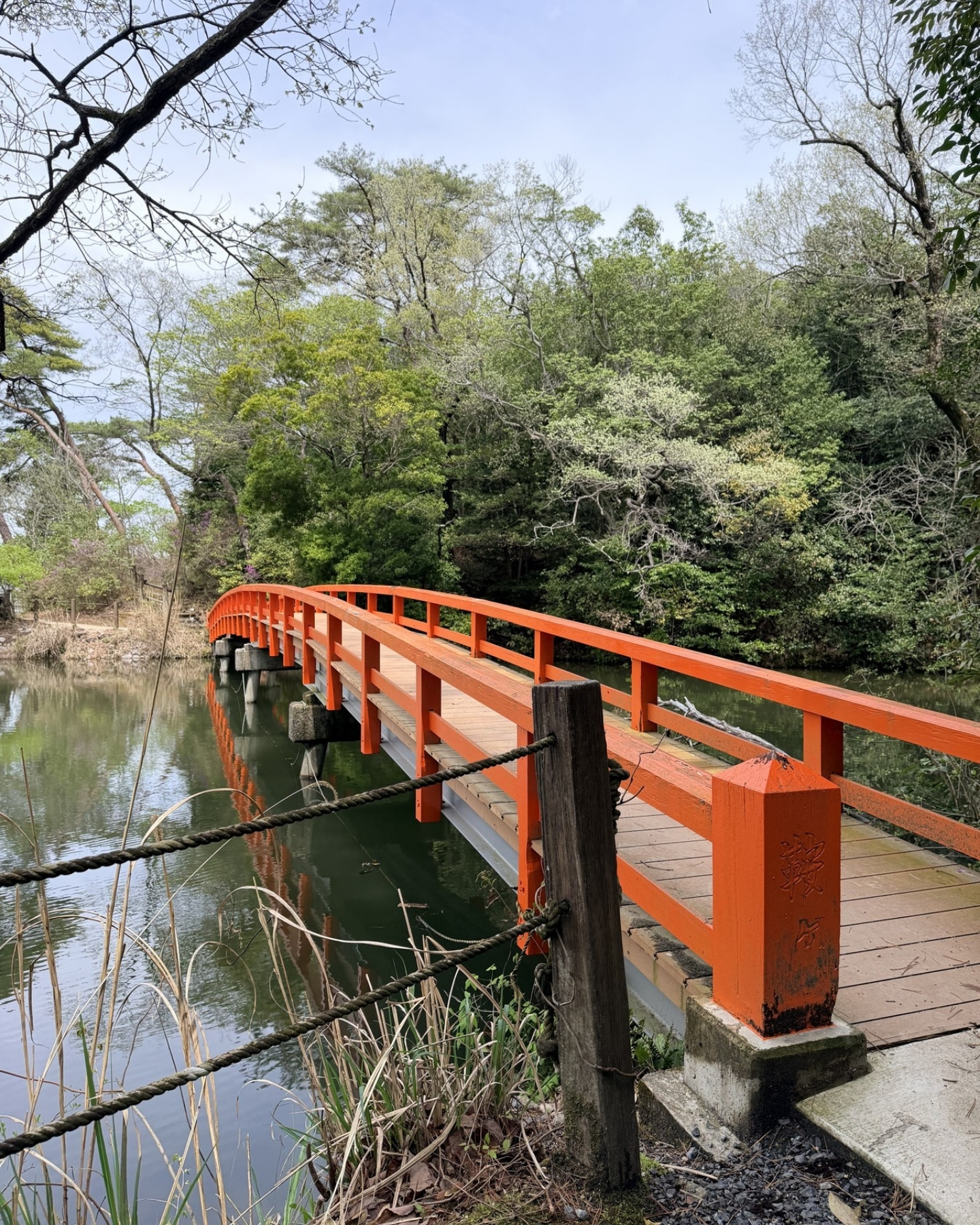 鞍ヶ池公園の釣りエリア