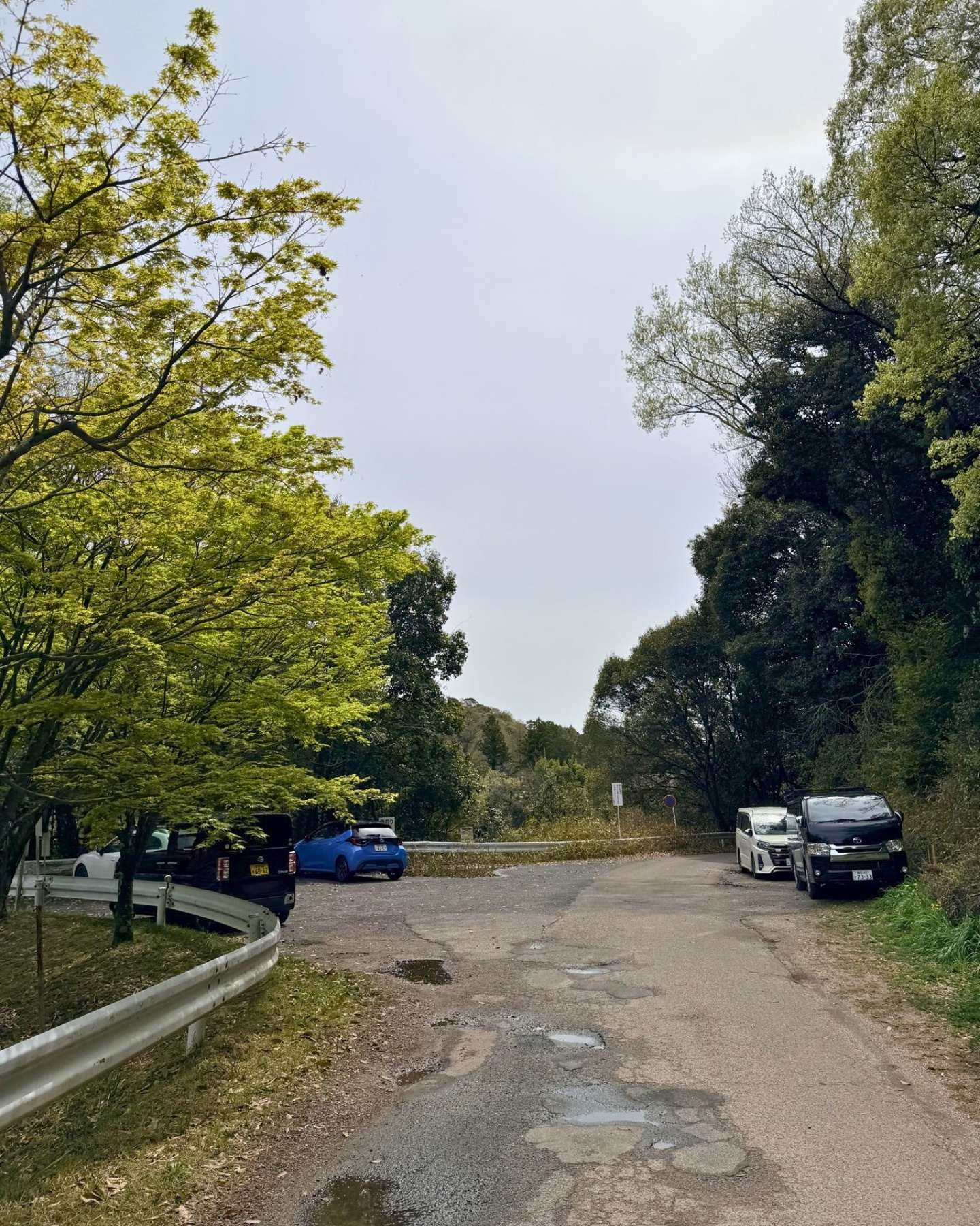 鞍ヶ池公園の池の周りの遊歩道