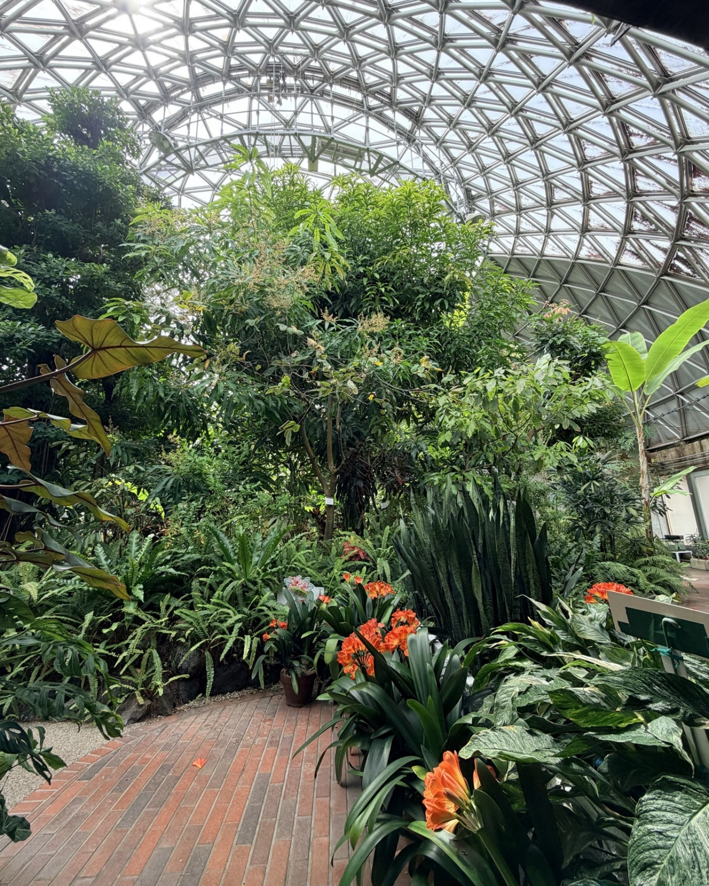 鞍ヶ池公園の温室のドーム