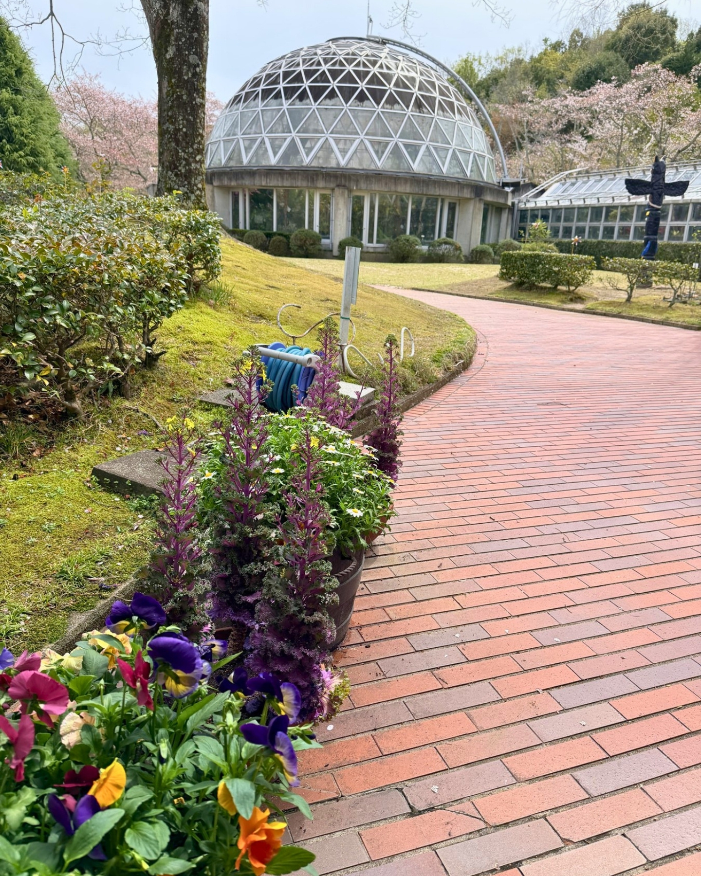 鞍ヶ池公園の植物園のプランターの花