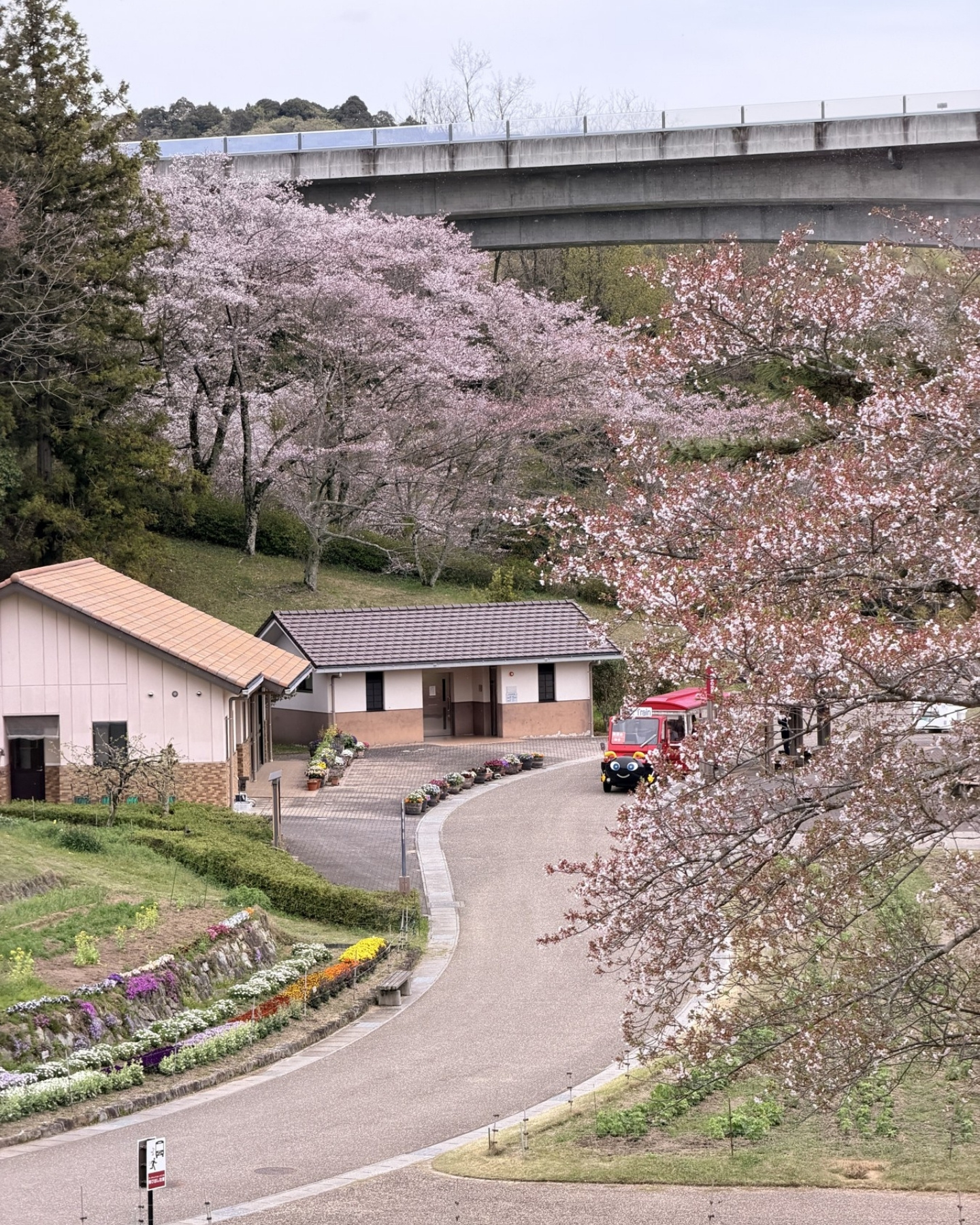 鞍ヶ池公園の桜並木の遊歩道