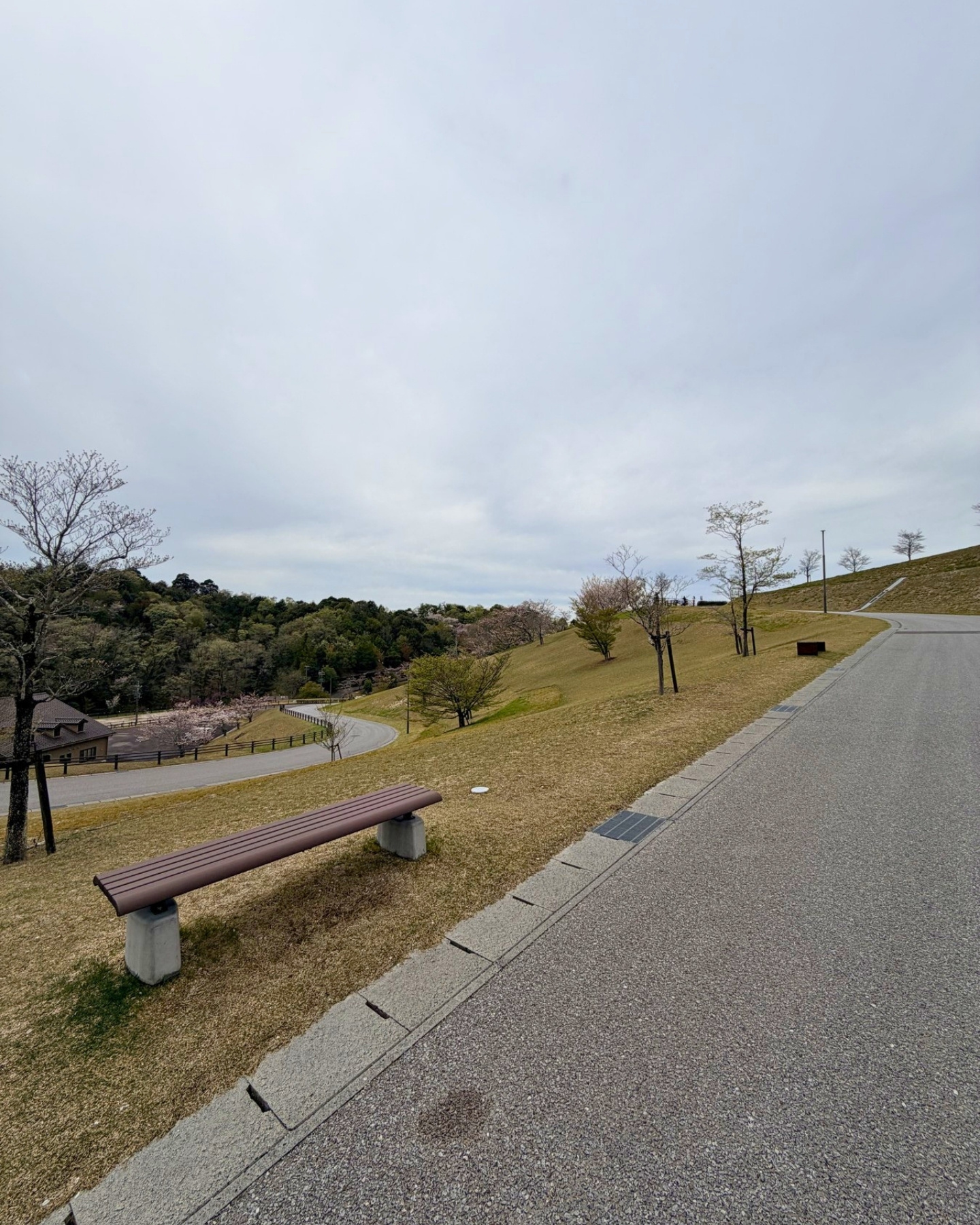鞍ヶ池公園の駐車場