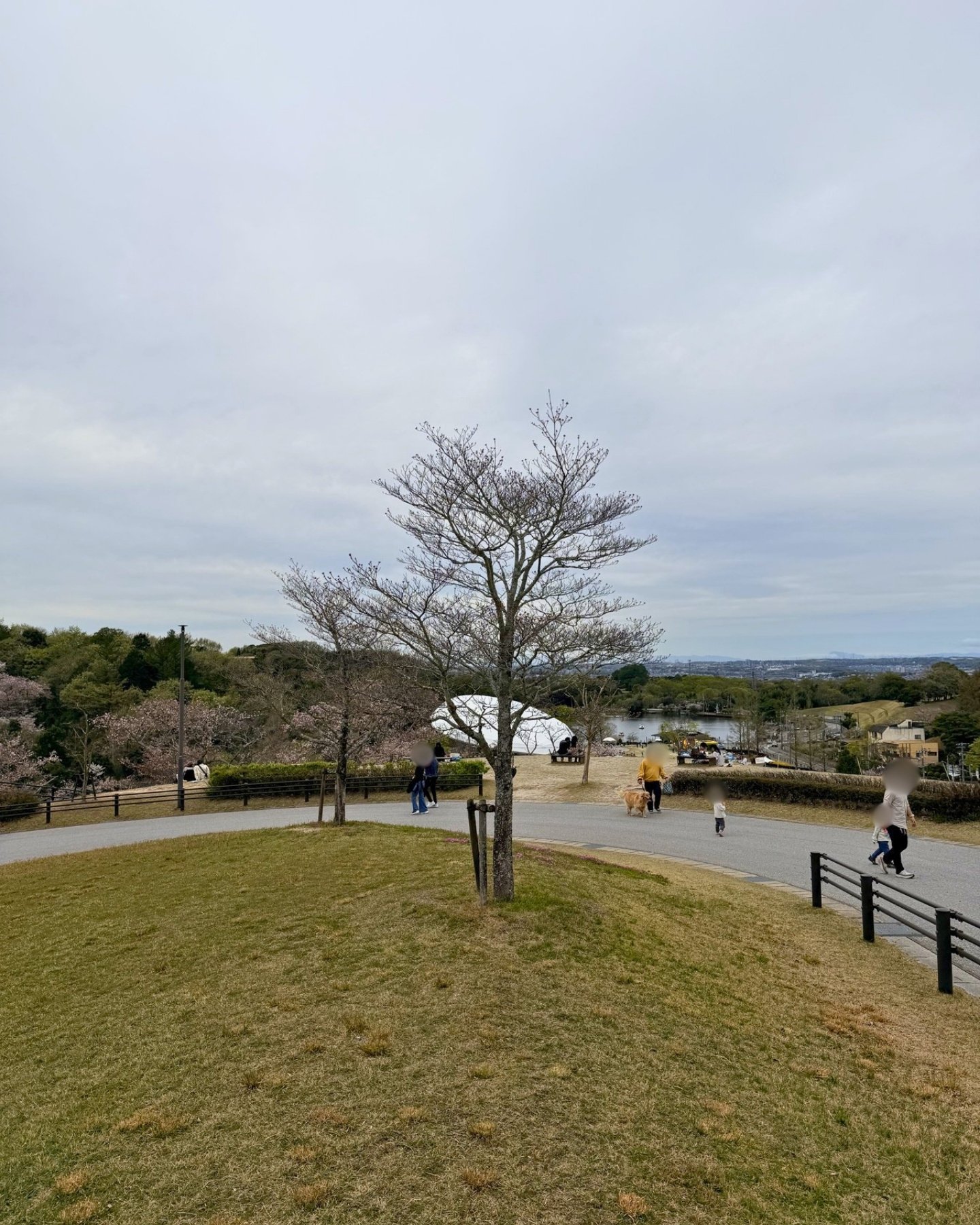 鞍ヶ池公園の若草山からの眺め