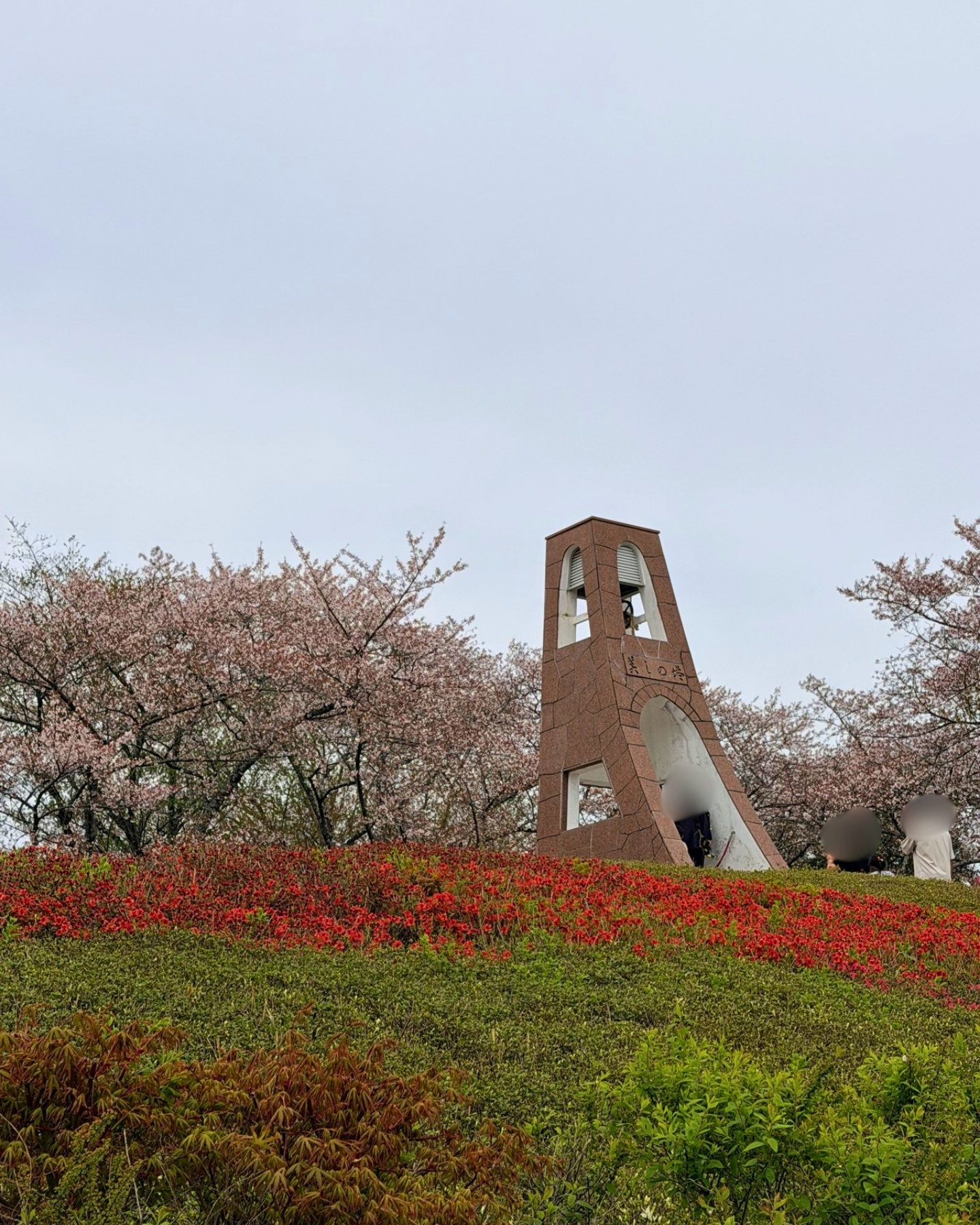 鞍ヶ池公園の美しの塔とヤマツツジ