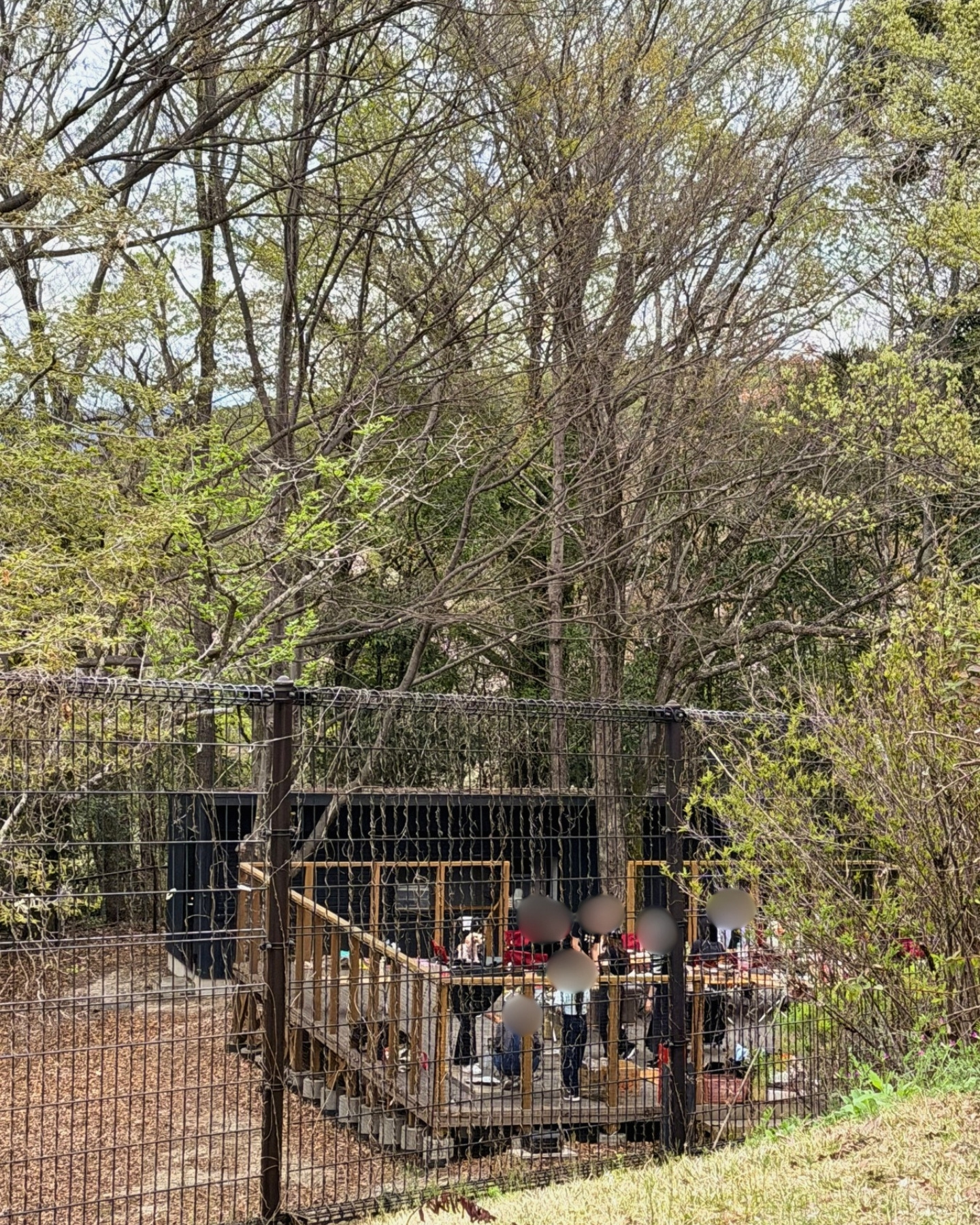 鞍ヶ池公園の園内の遊具エリア