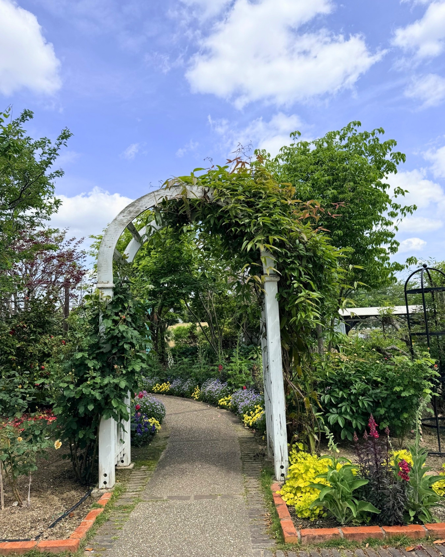 西山公園 花のアーチの園路