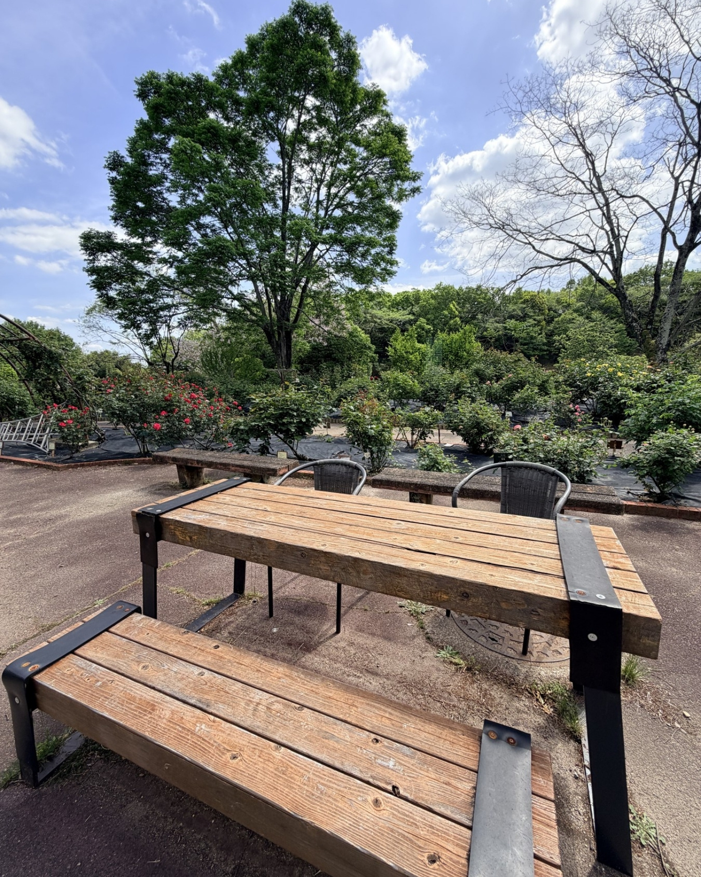 西山公園 バラ園の木のテーブルとベンチ