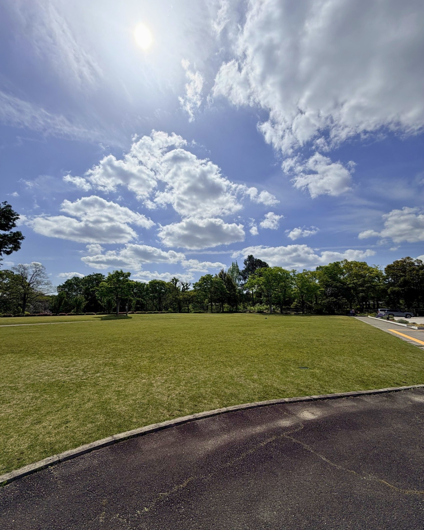 西山公園 開放感のある芝生広場と青空