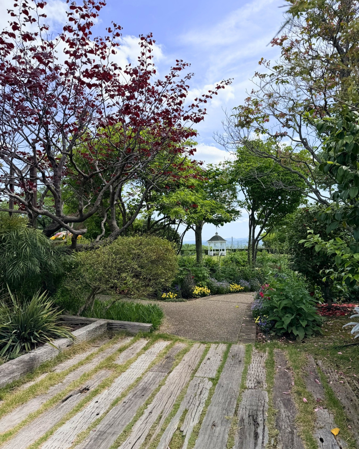 西山公園 高低差をいかした植栽