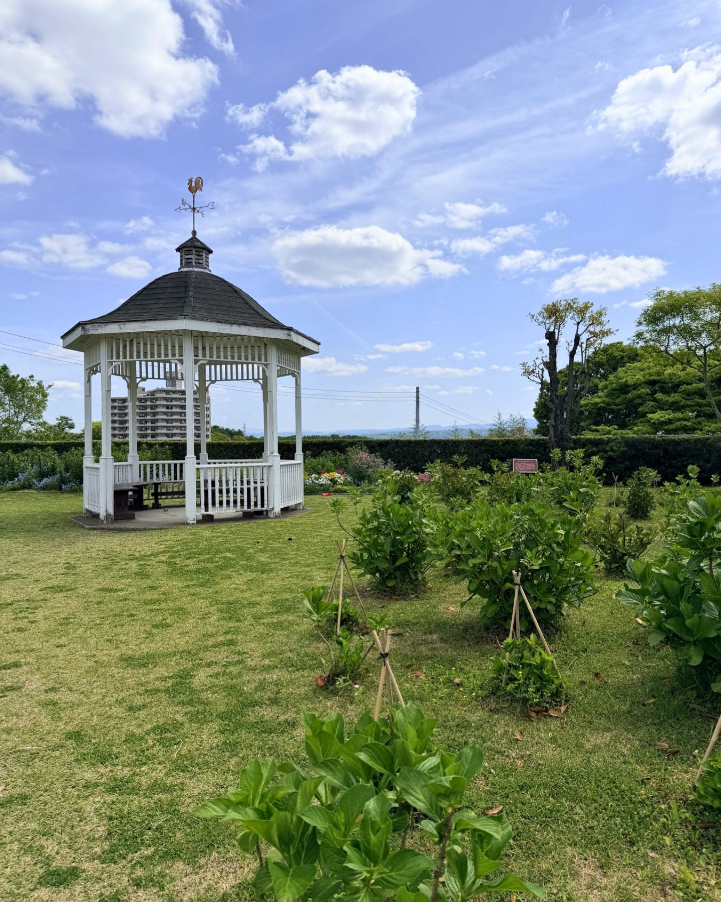西山公園 ガゼボからの眺め