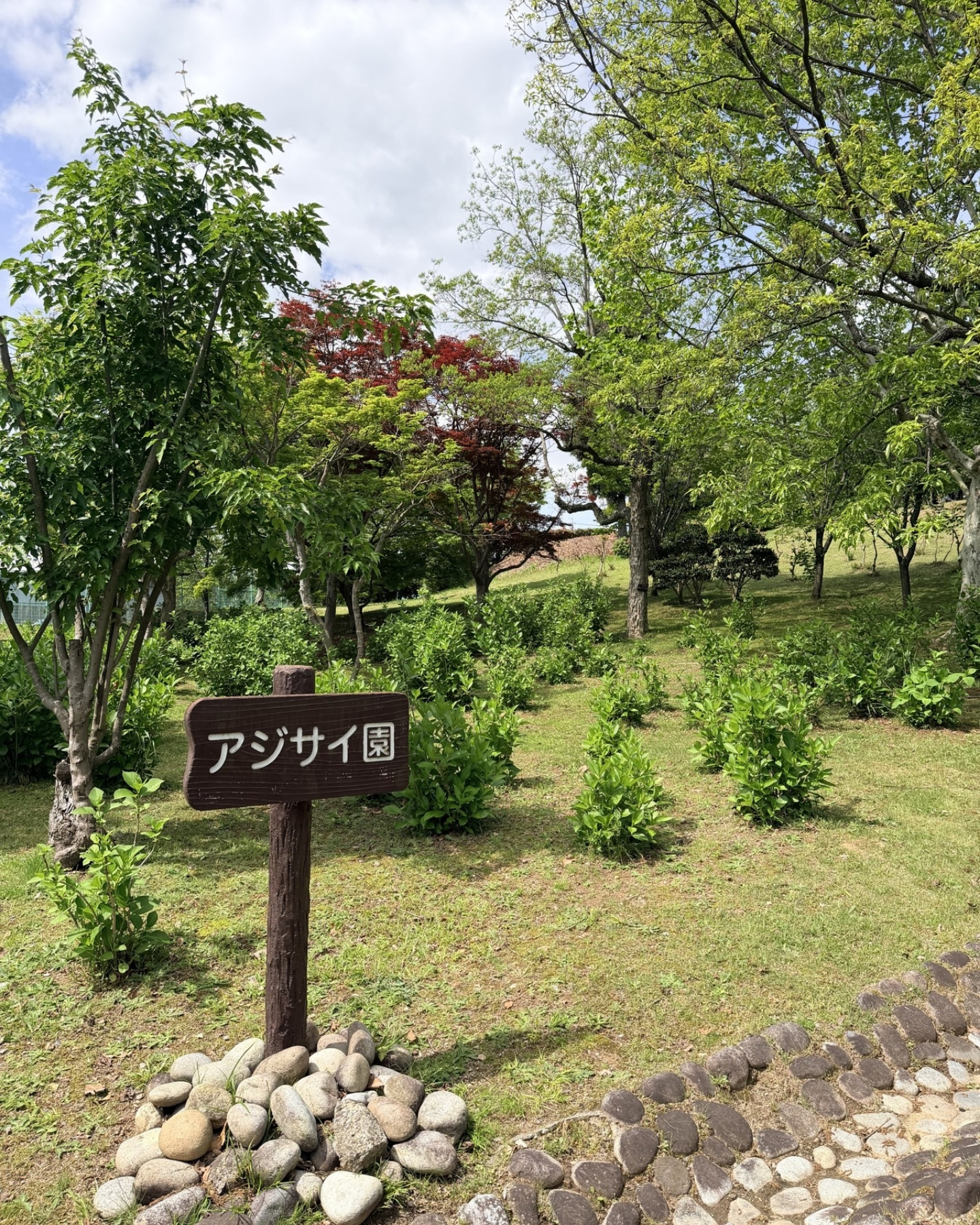 西山公園 アジサイ園の看板