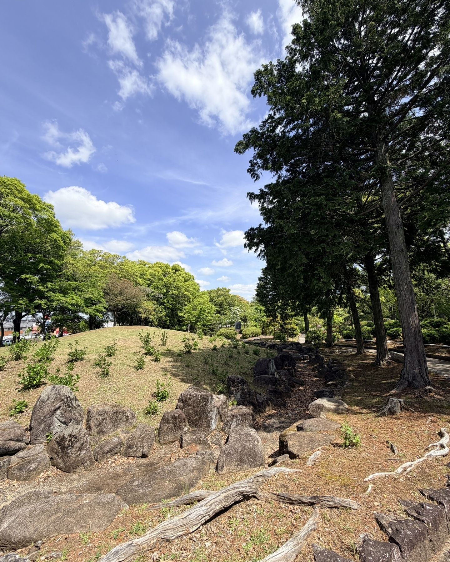 西山公園 日本庭園エリアの岩と若木の小山